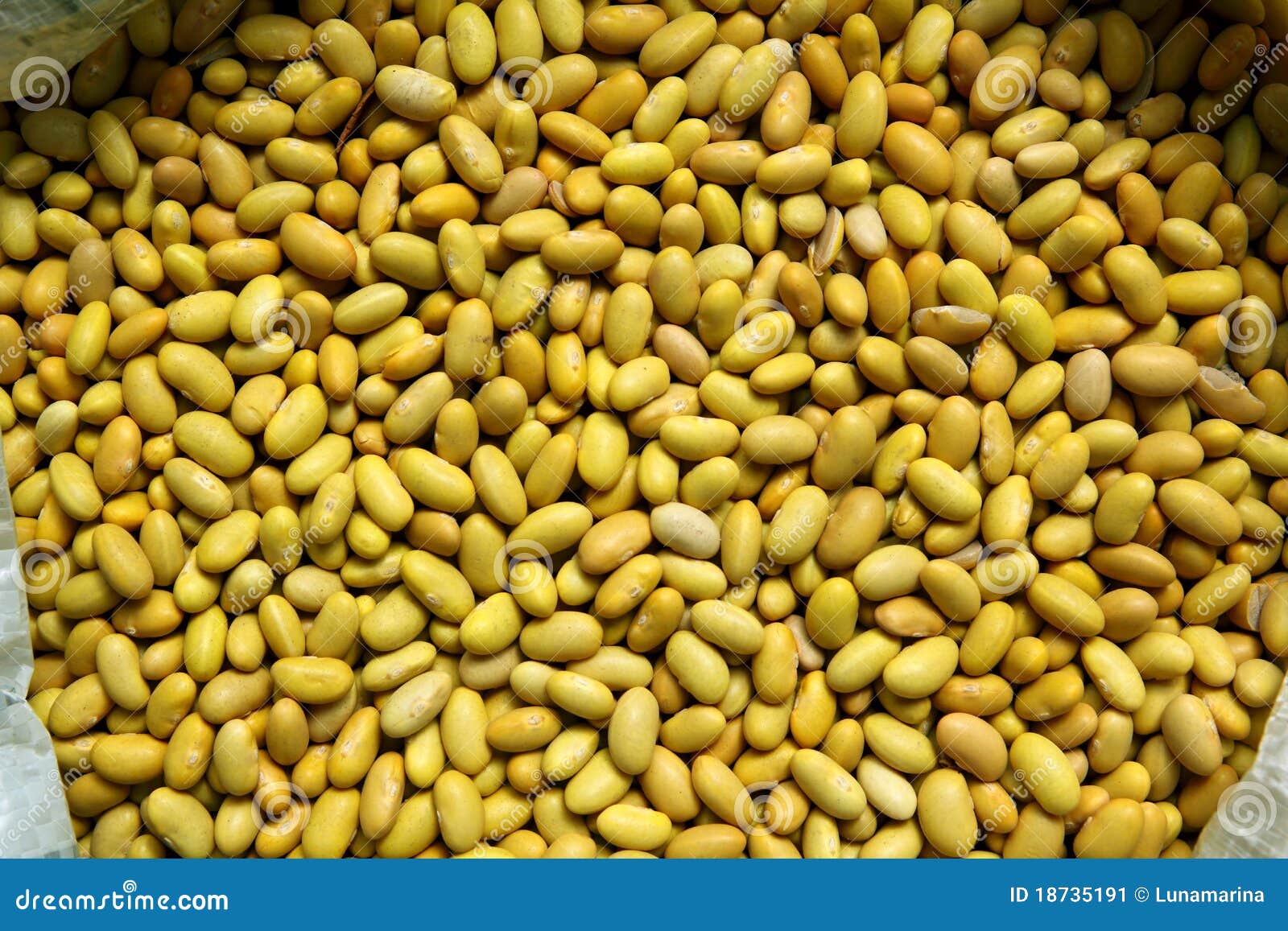Dried Green Beans Pattern Texture Background Stock Image Image of