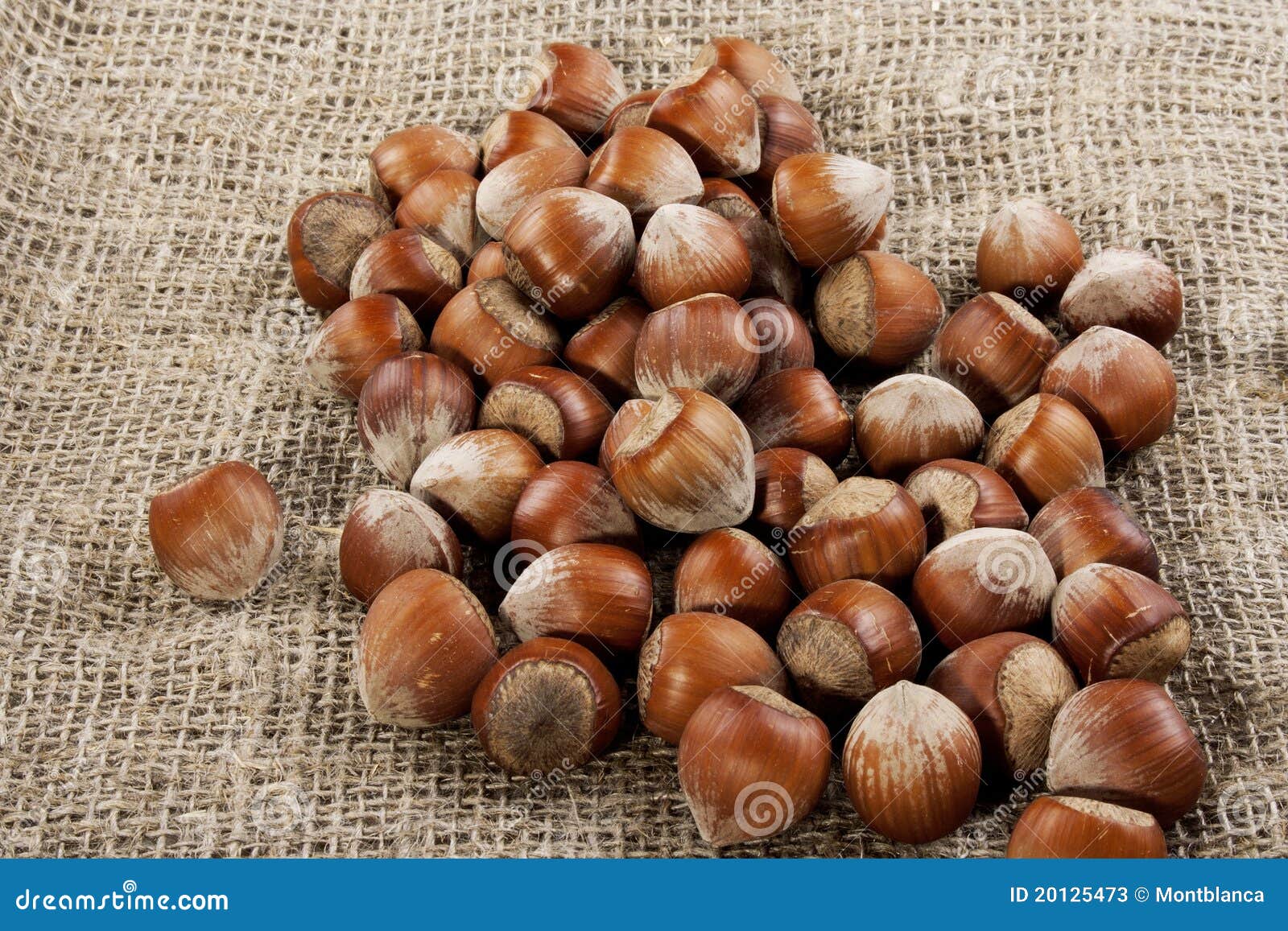 Dried hazelnut stock image. Image of cuisine, hazelnut 20125473