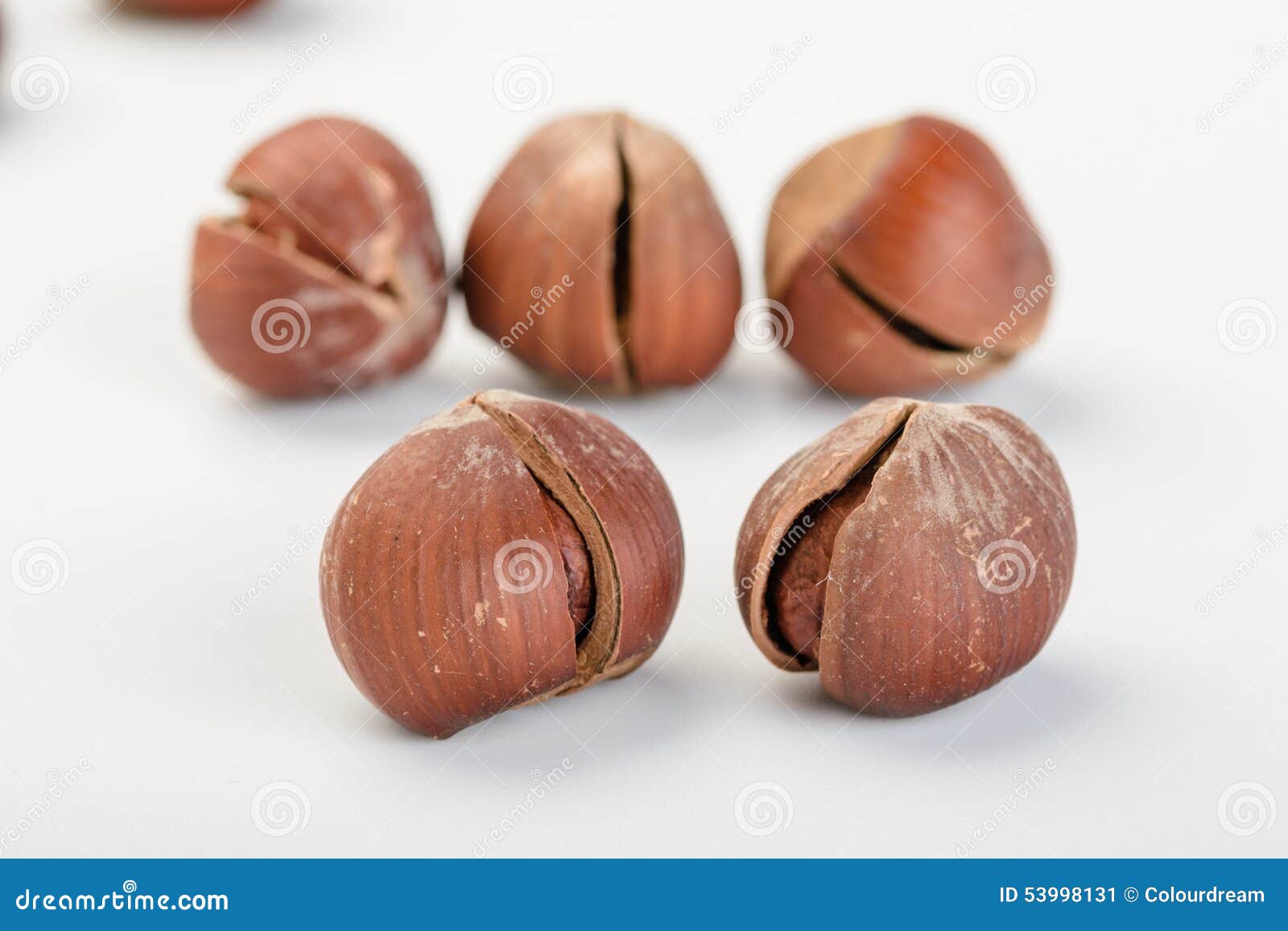 Dried hazelnut stock image. Image of nutshell, brown 53998131