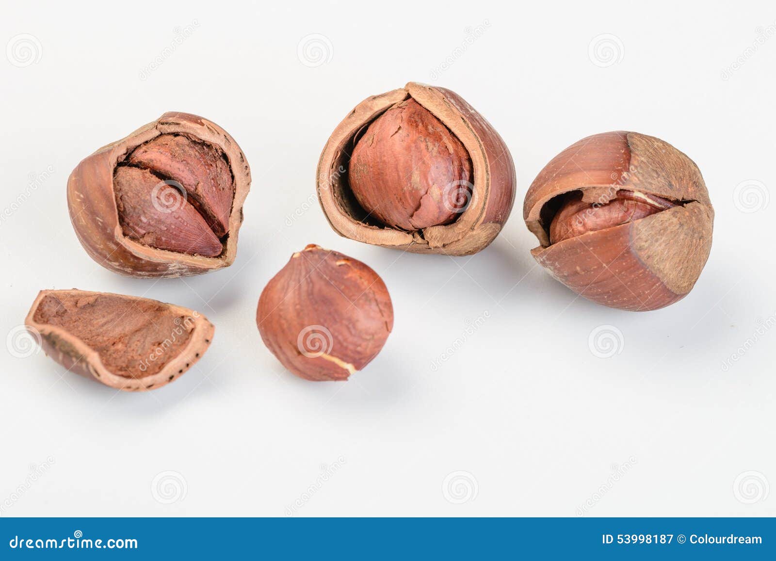 Dried hazelnut stock image. Image of brown, macro, cobnuts 53998187