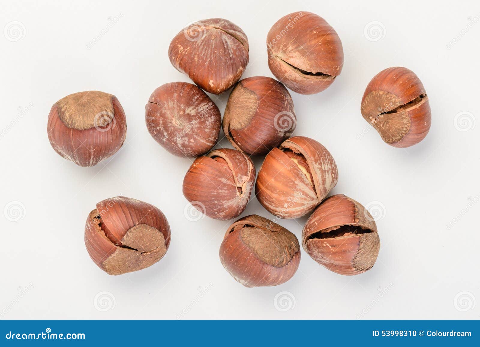 Dried hazelnut stock photo. Image of cracked, cobnuts 53998310