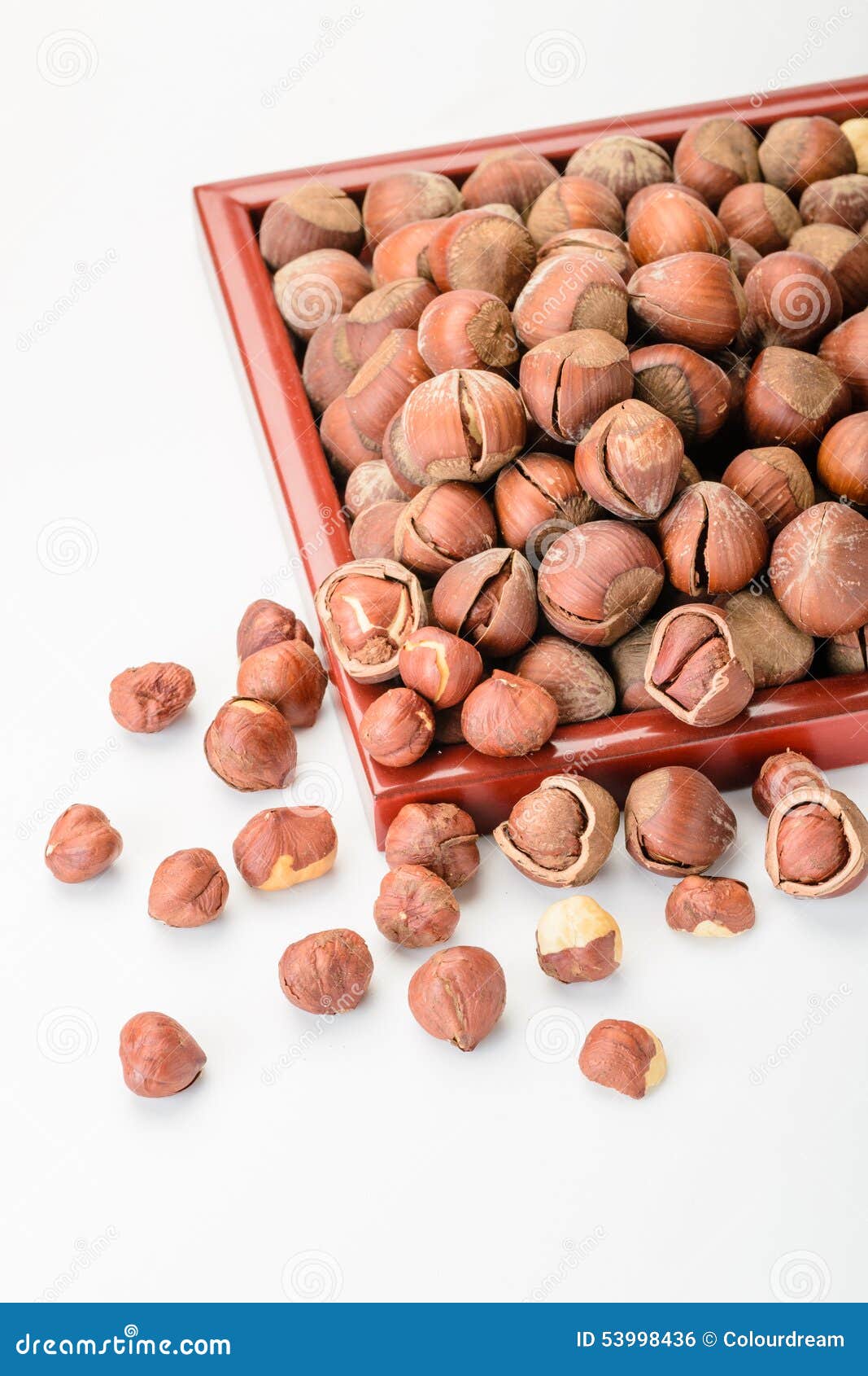 Dried hazelnut stock photo. Image of closeup, seed, roasted 53998436