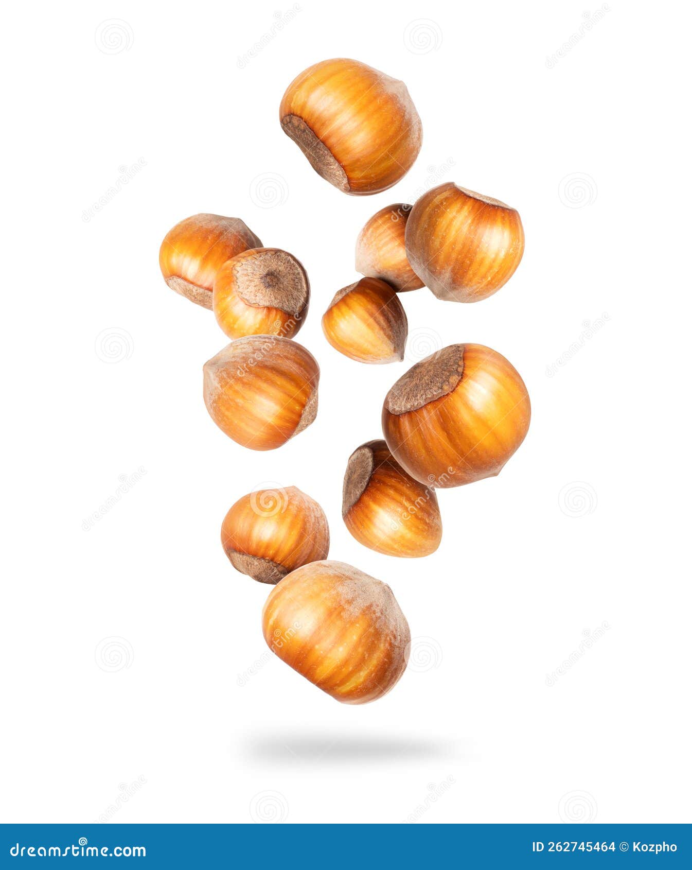 Dried Hazelnuts Closeup in the Air Isolated on a White Background
