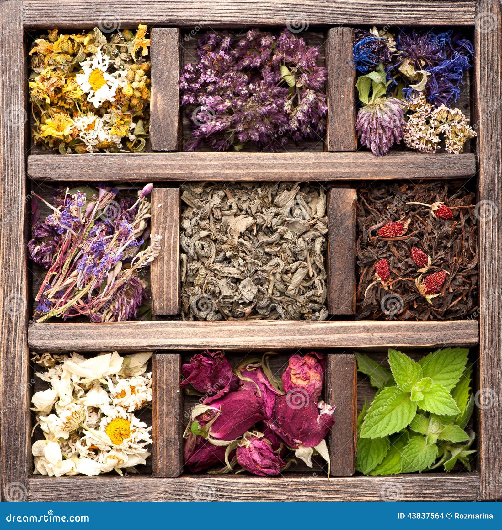 Dried Herbs and flowers stock photo. Image of clover 43837564
