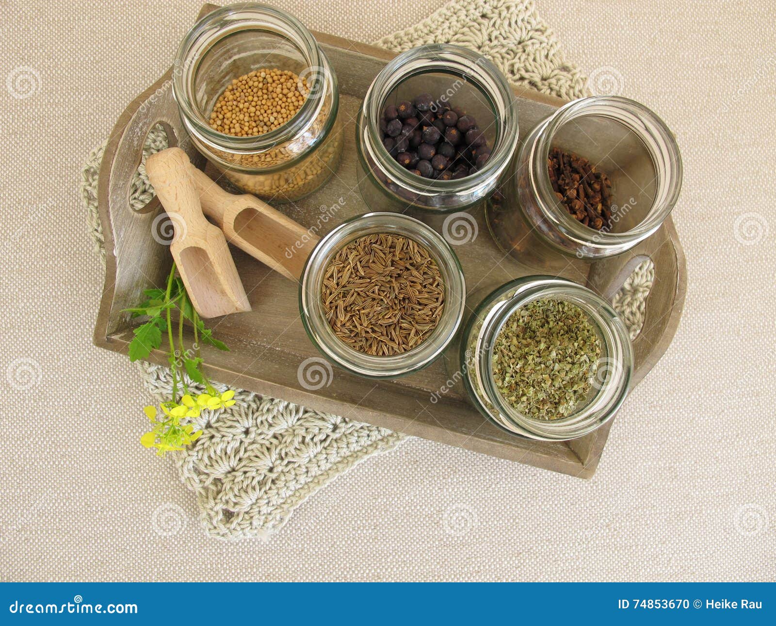 Dried herbs and spices stock photo. Image of herbs, stockpile 74853670