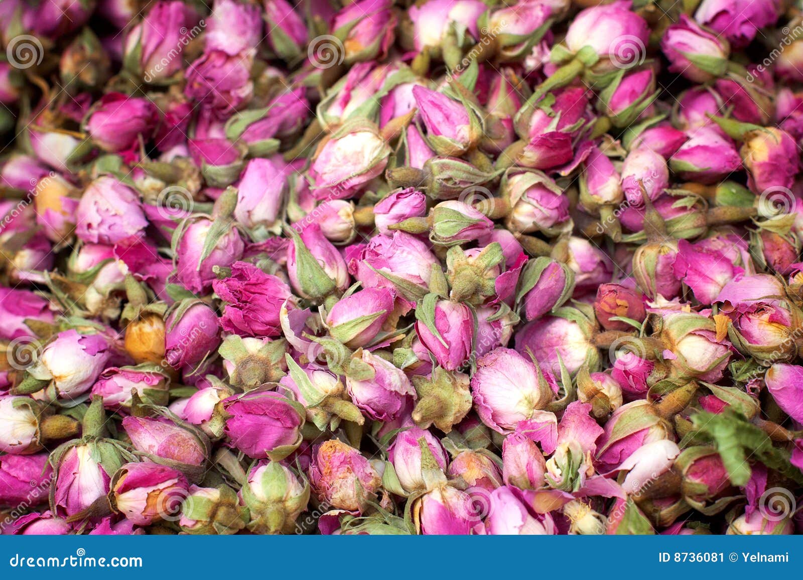 Dried hibiscus flowers stock image. Image of bright, plants 8736081