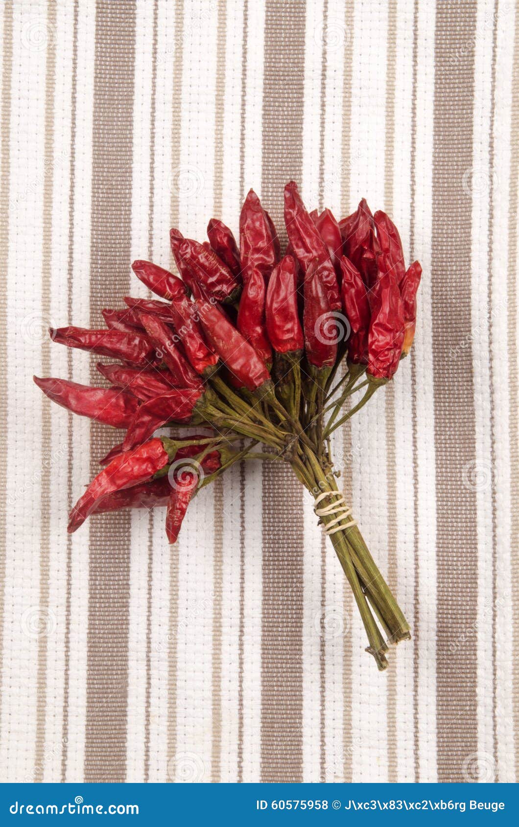 Dried Hot Chili on a Kitchen Towel Stock Photo Image of spice