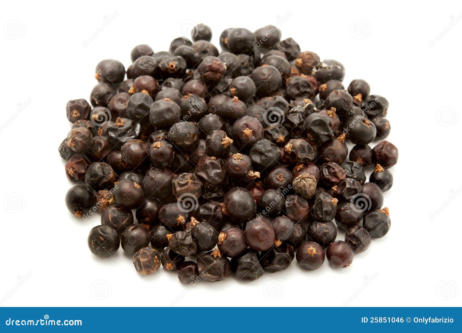 Dried juniper berries stock photo. Image of juniperus 25851046