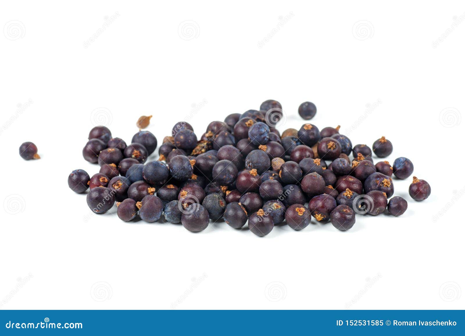 Dried Juniper Berries stock image. Image of dried, berry 152531585