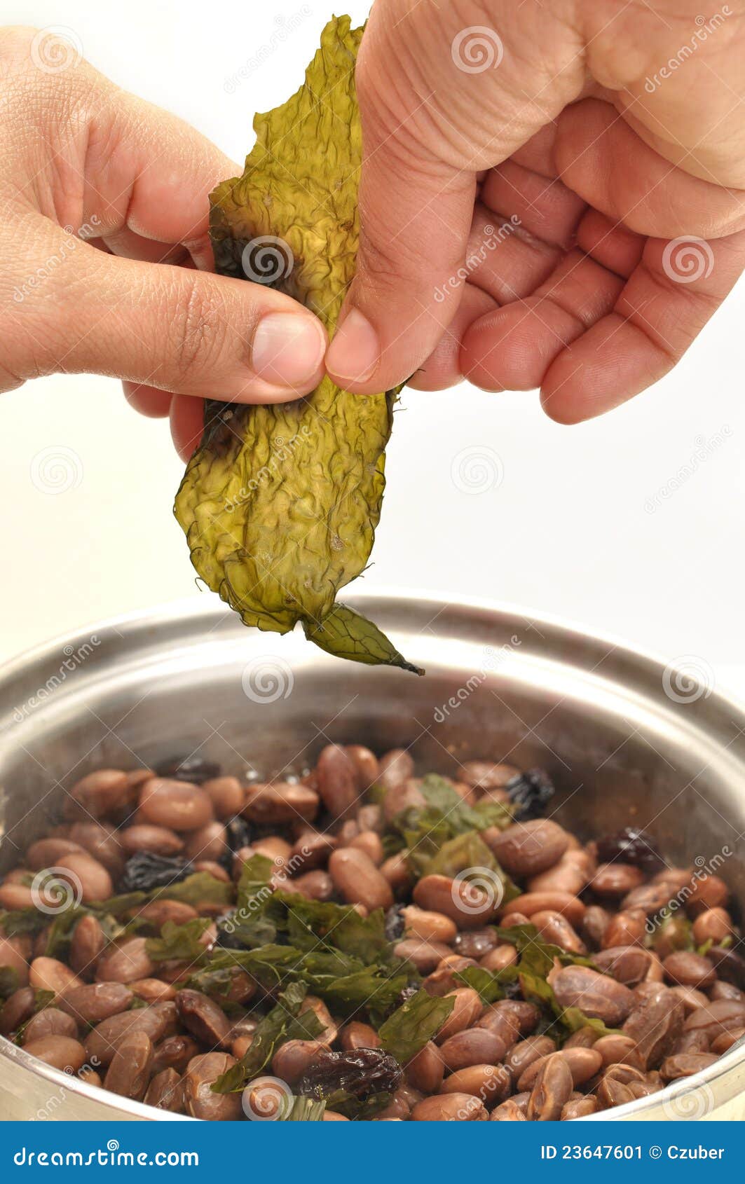 Dried kelp seasoning stock image. Image of brown, culinary 23647601
