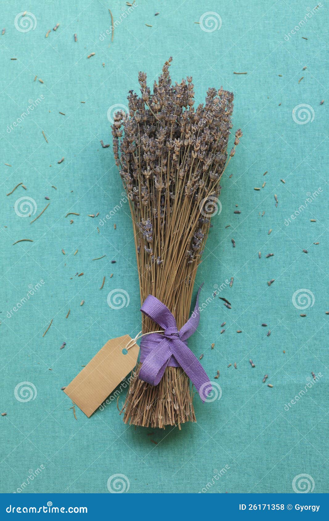Dried Lavender stock photo. Image of medicine, garden 26171358
