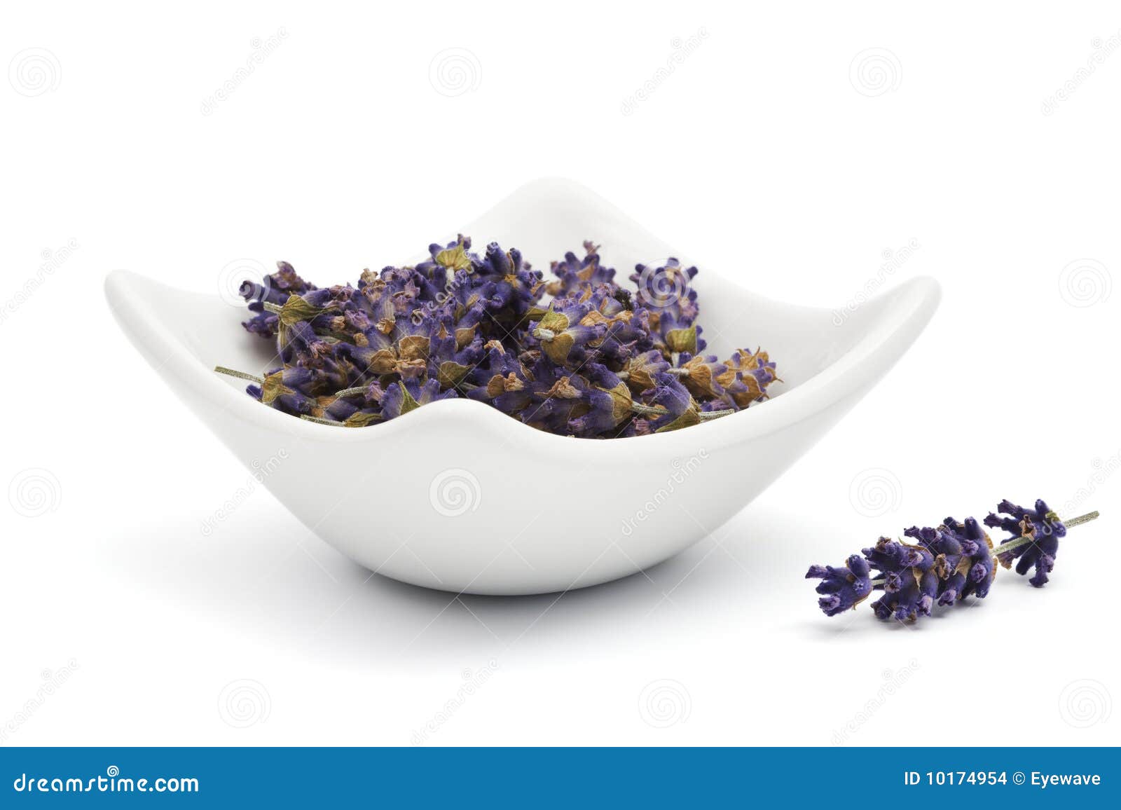 Dried lavender blossoms stock photo. Image of flower 10174954