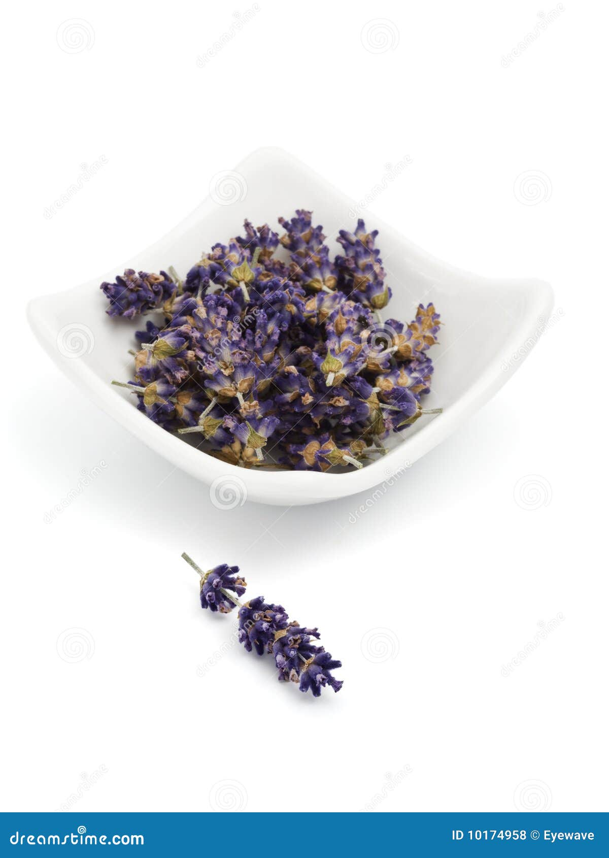 Dried lavender blossoms stock photo. Image of isolated 10174958