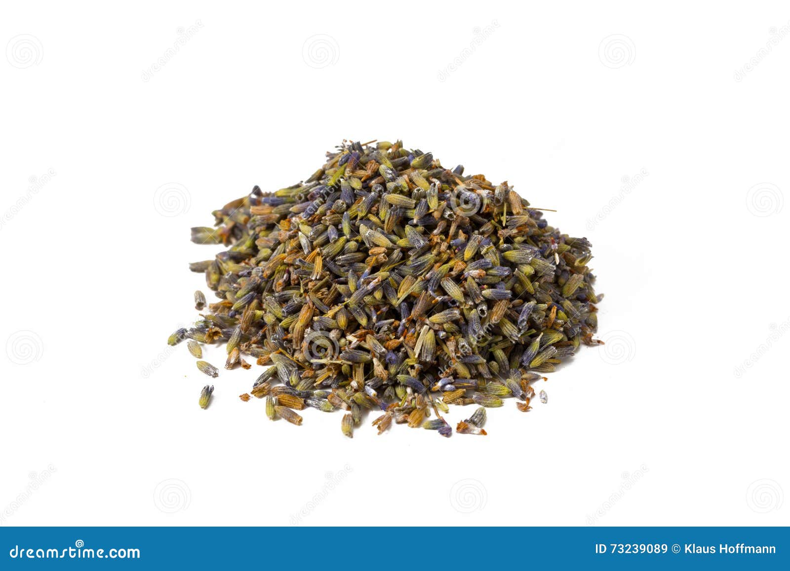 Dried Lavender Blossoms Isolated on White. Stock Image Image of spice