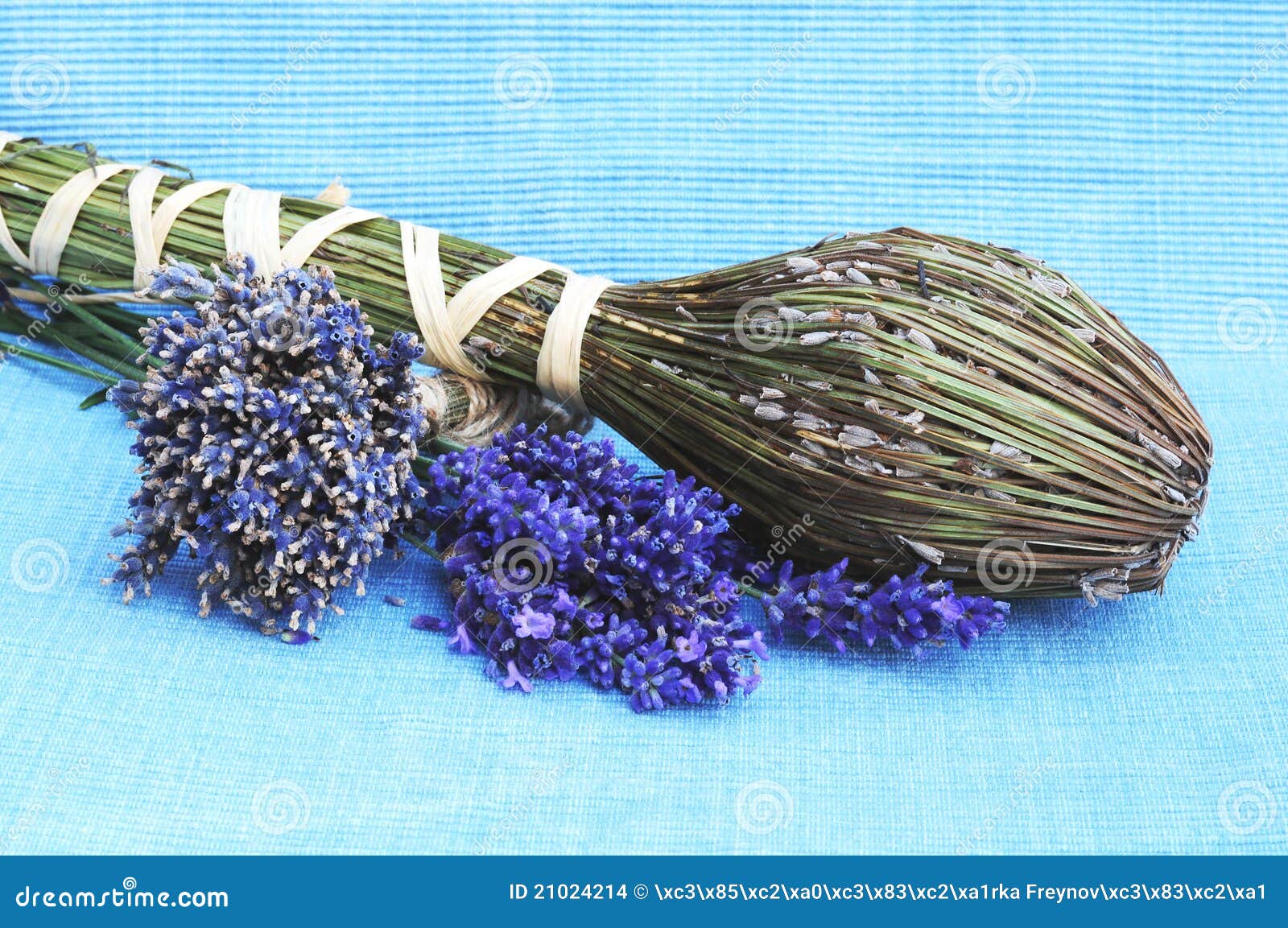 Dried lavender flowers stock photo. Image of nature, natural 21024214