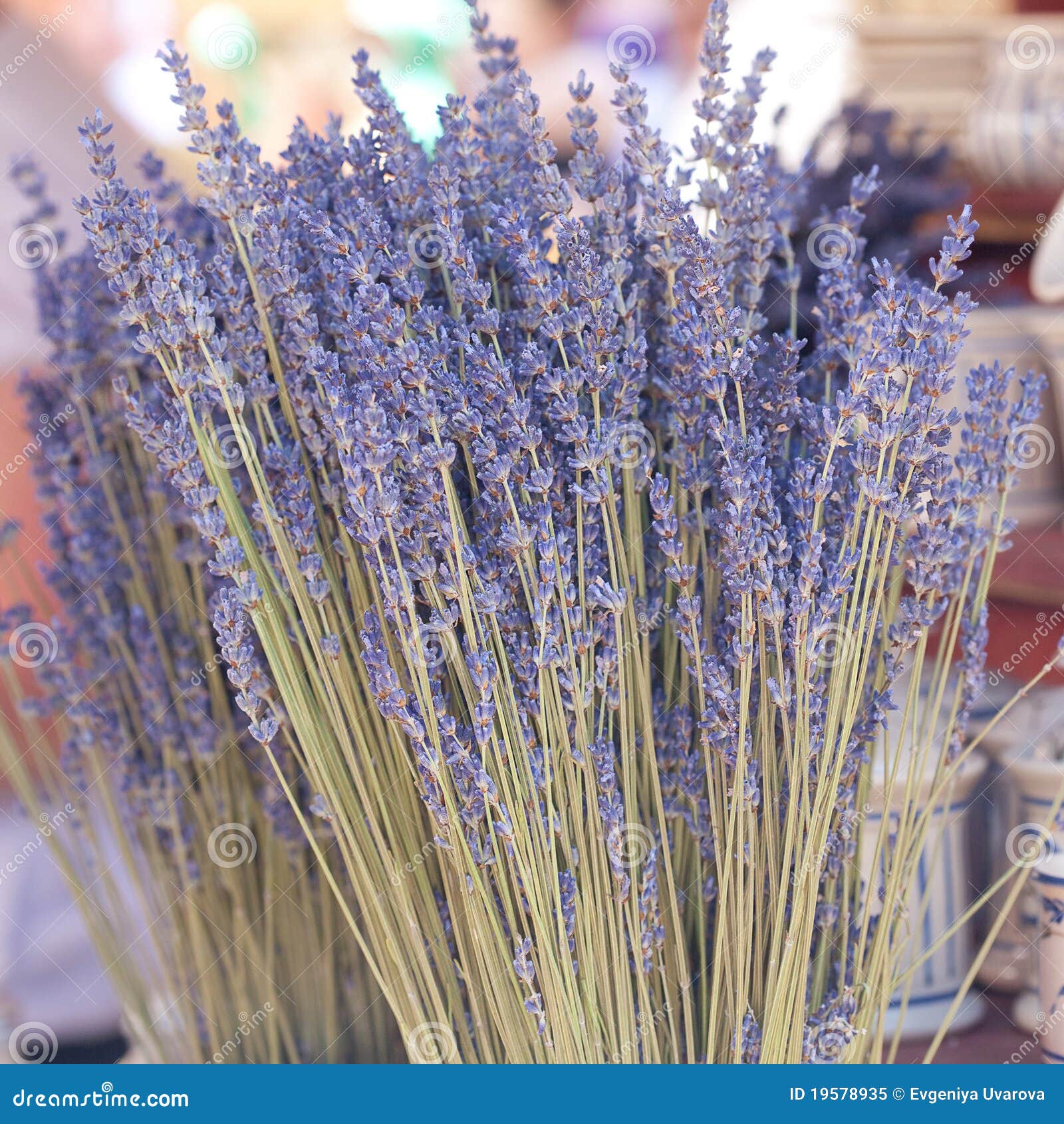 Dried Lavender Flowers at the Fair Stock Image Image of clay, market