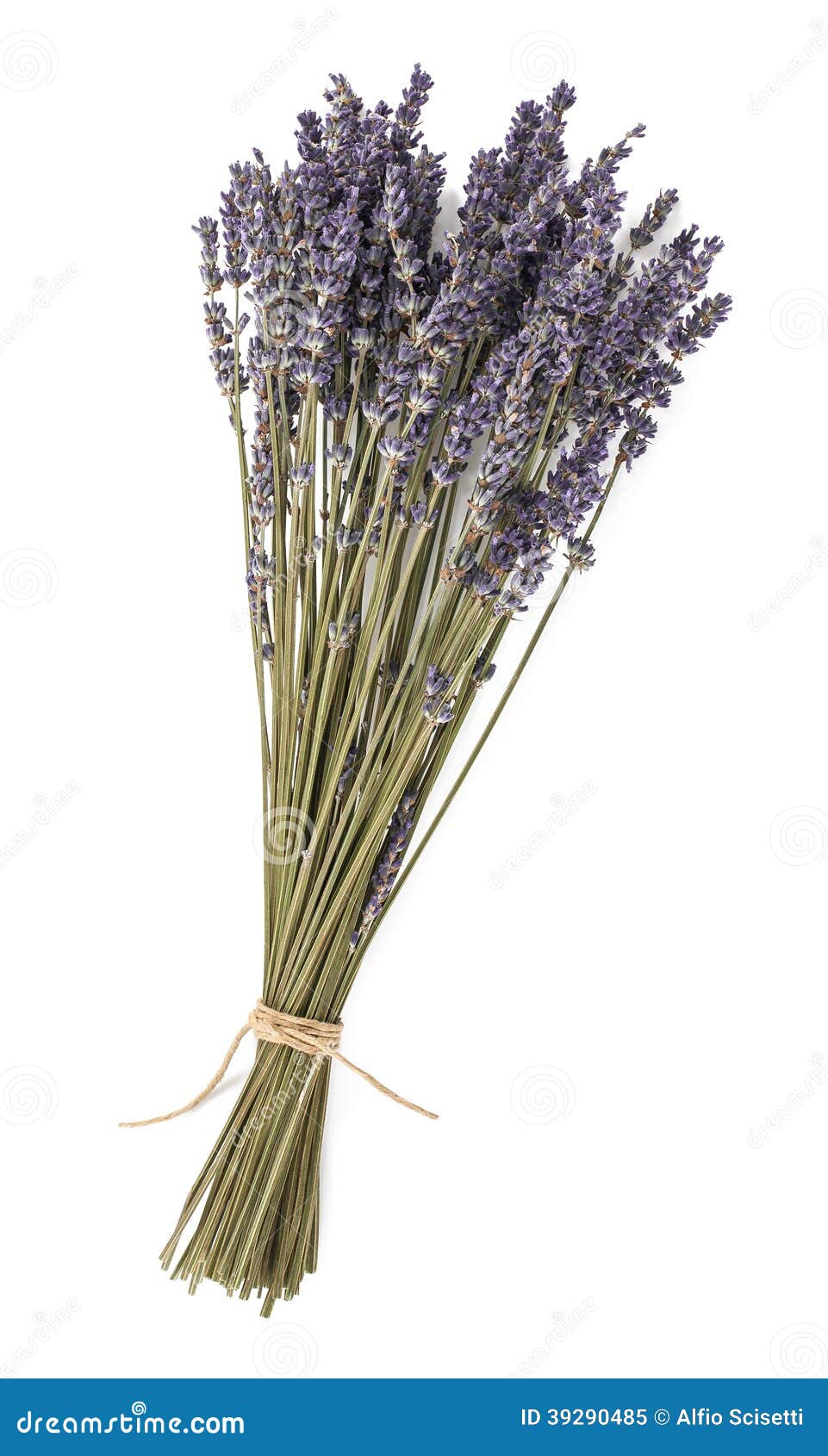 Dried lavender flowers stock image. Image of aromatherapy 39290485