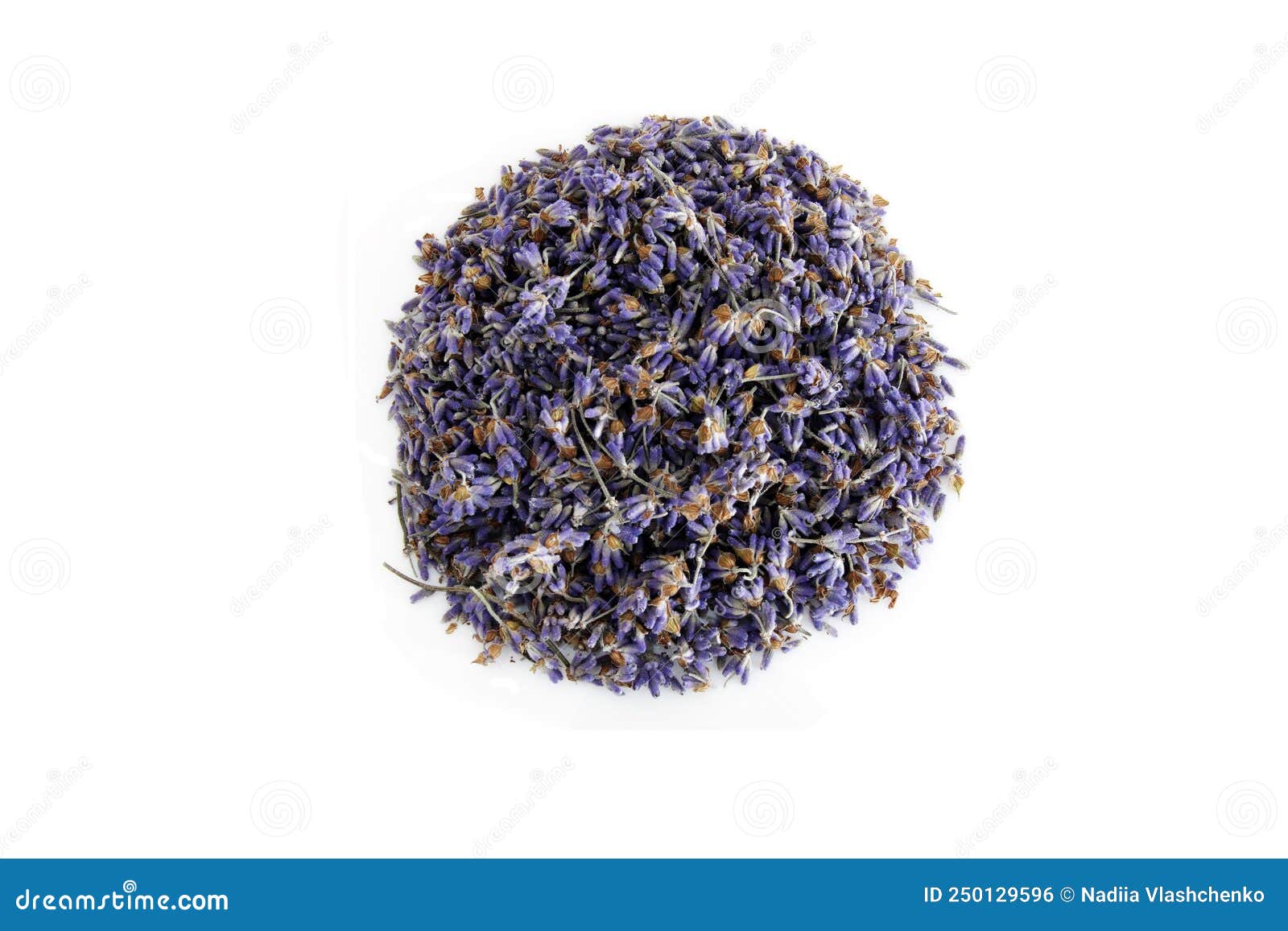 Dried Lavender Flowers Isolated Stock Photo Image of background, herb