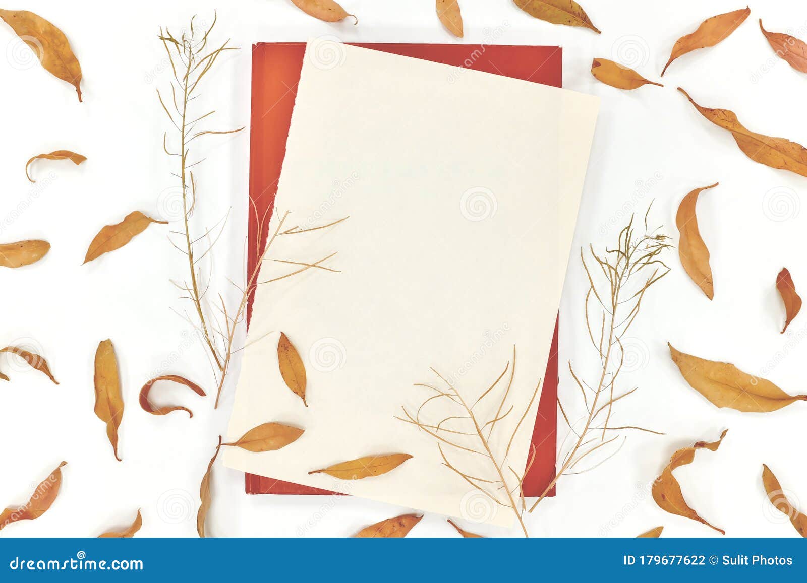 Download Dried Leaves Autumn Composition. Mock Up, Top View, Flat ...