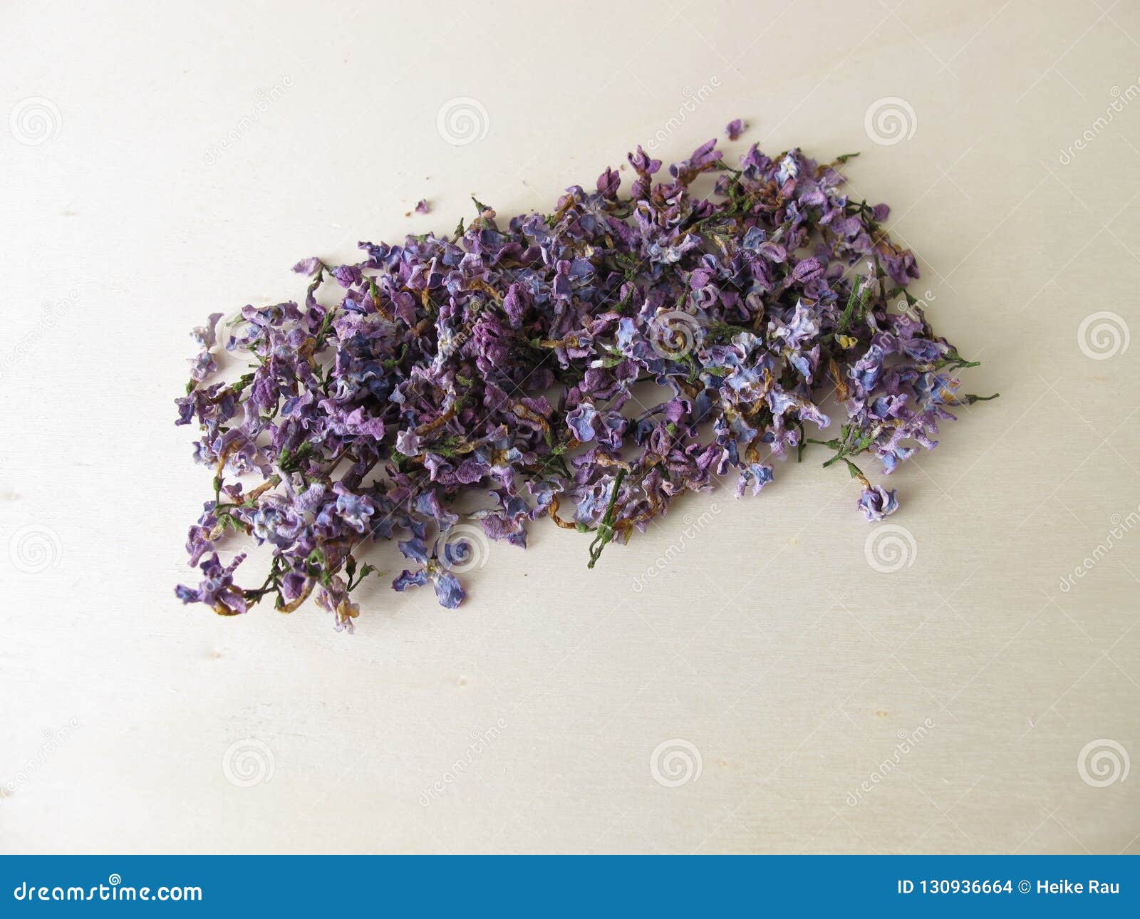 Dried lilac flowers stock photo. Image of dried, wooden 130936664