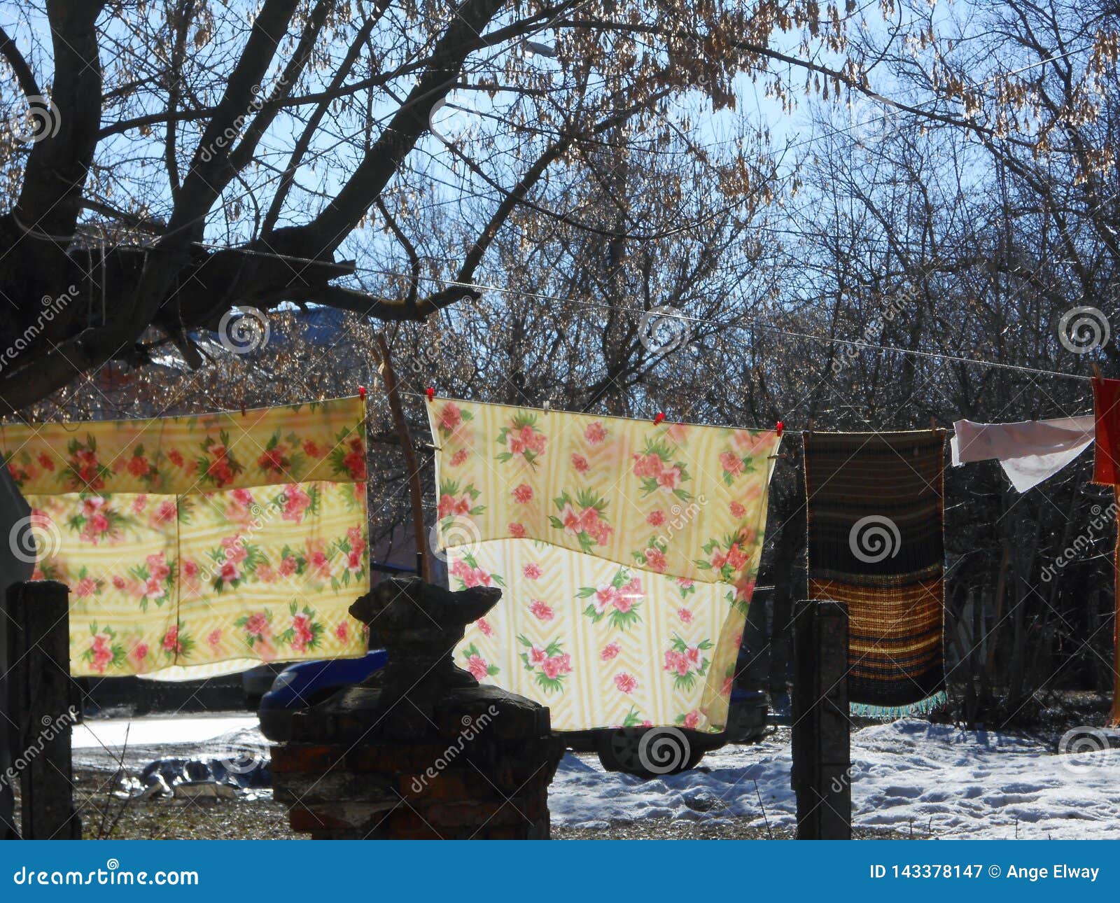 Dried Linen Behind the Trees in the Old Yard. Stock Image Image of
