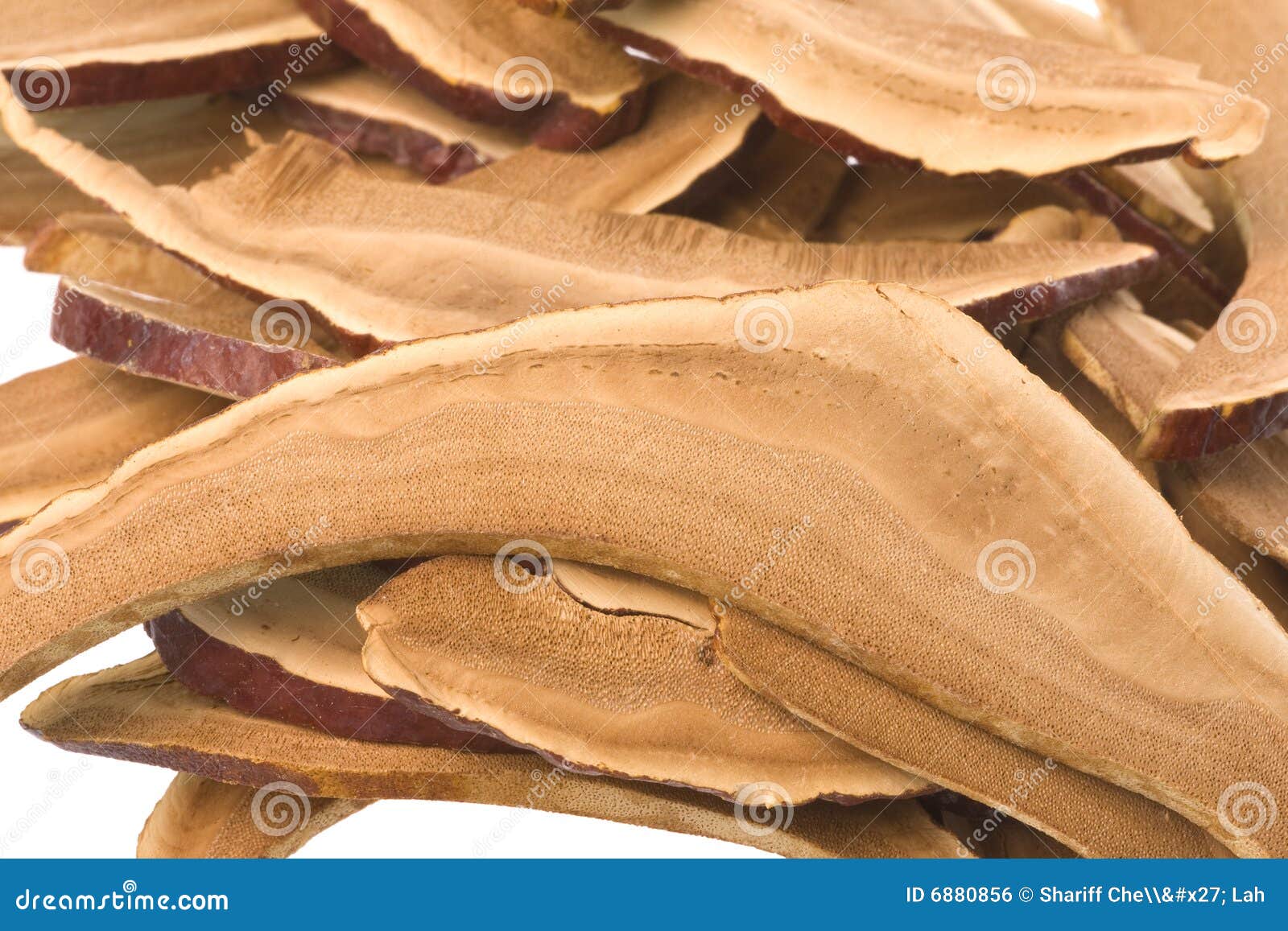 Dried Lingzhi Mushroom & X28;Also Called As Reishi Mushroom In Japan