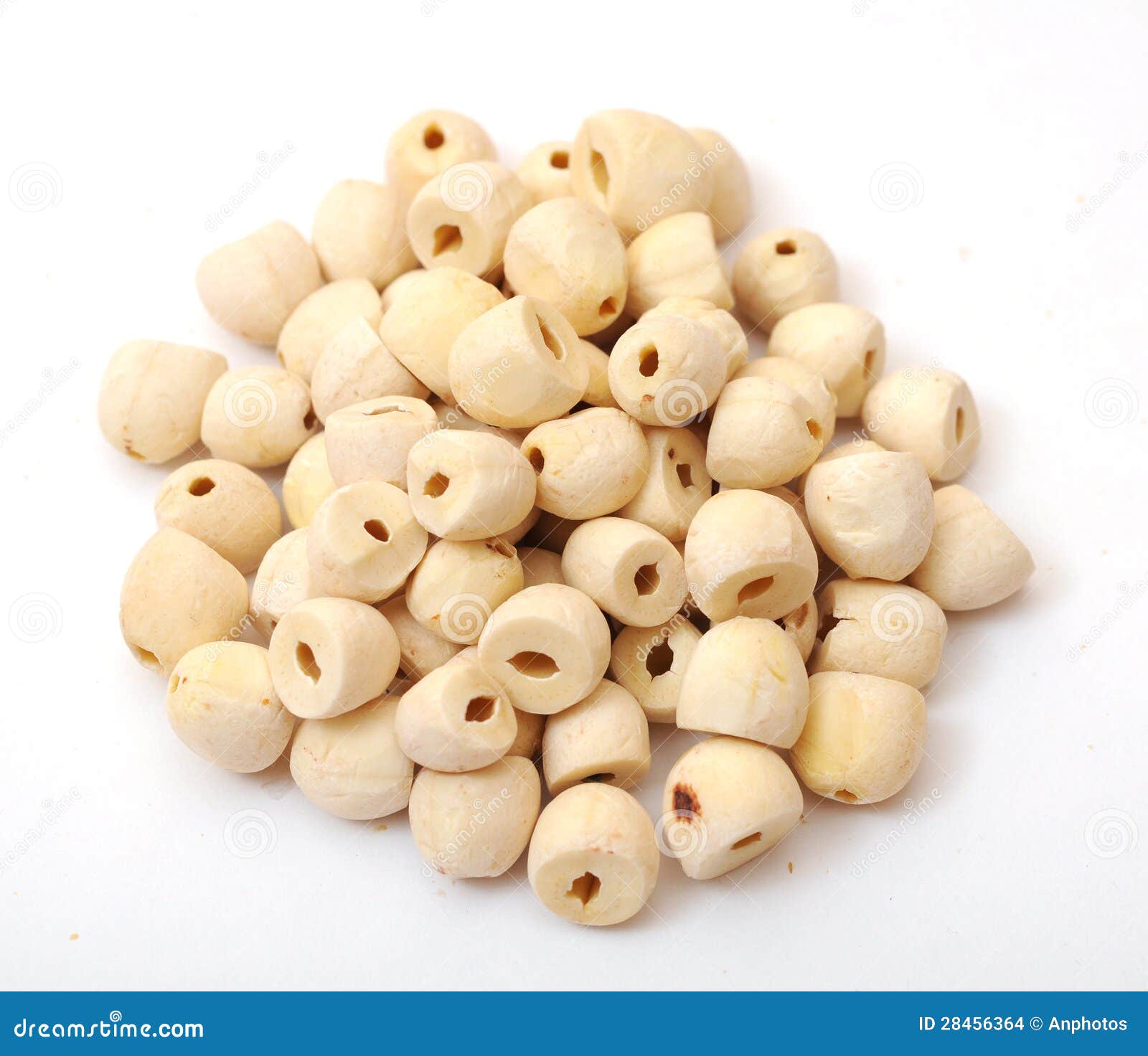 Dried lotus seed stock photo. Image of edible, agriculture 28456364