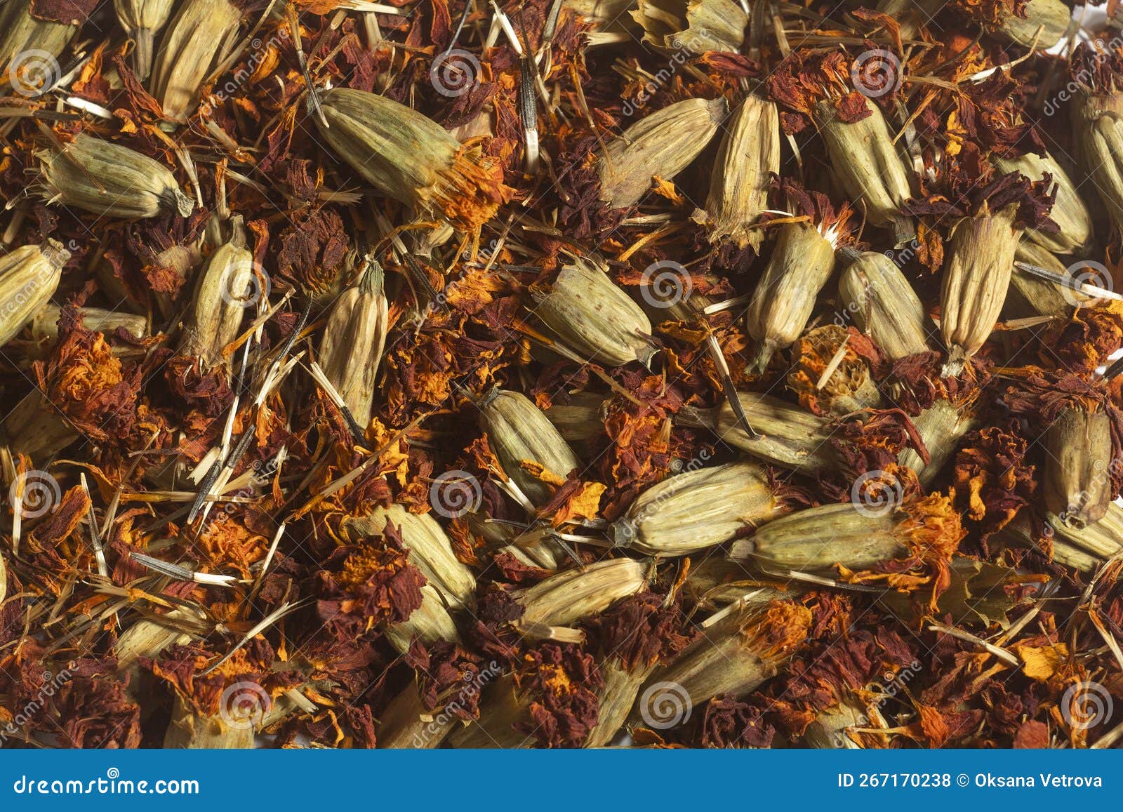 Dried marigolds, top view stock photo. Image of soothing 267170238