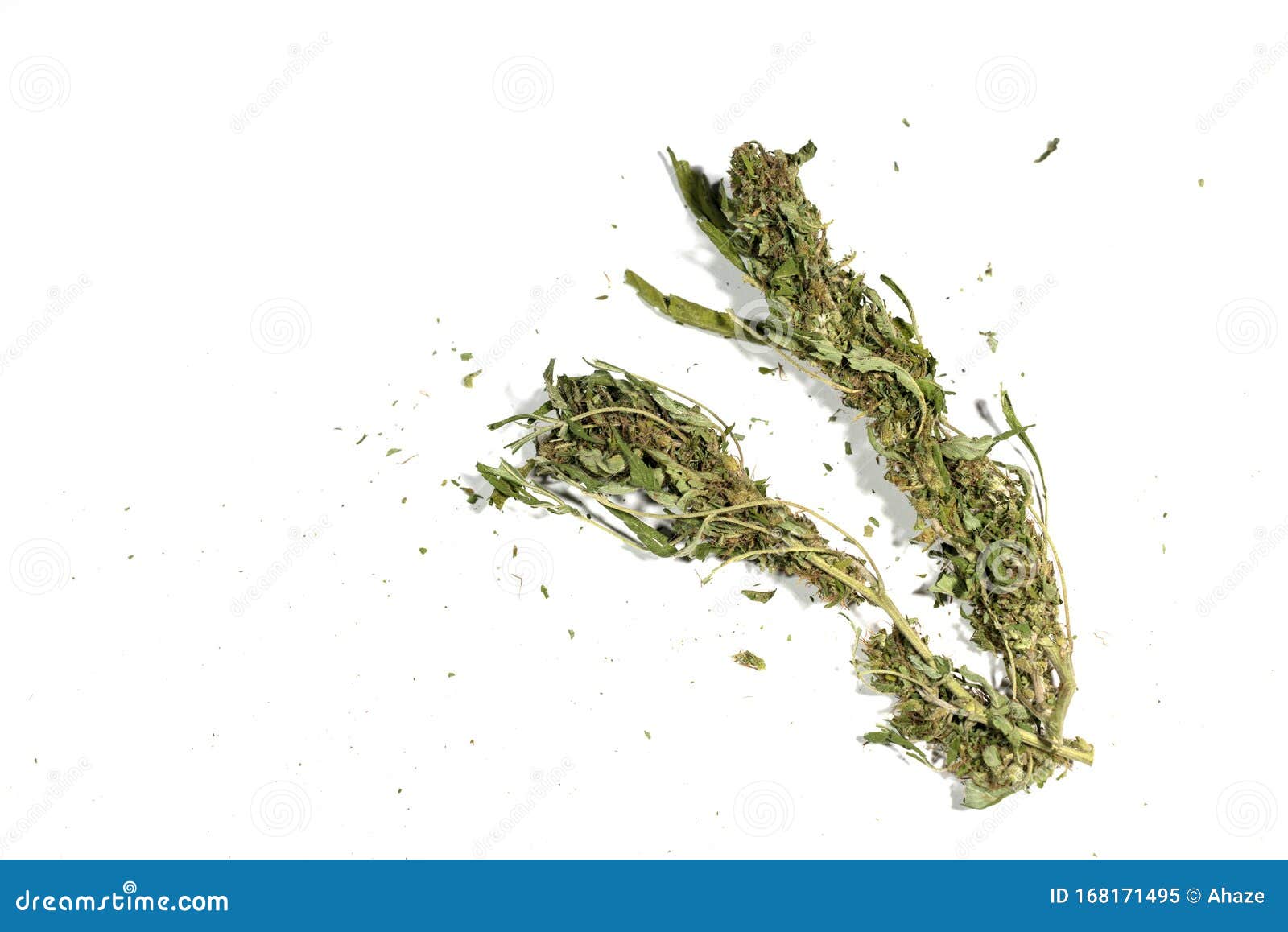 Dried Marijuana Cannabis Pot Plant Stems Flowers Isolated on White ...