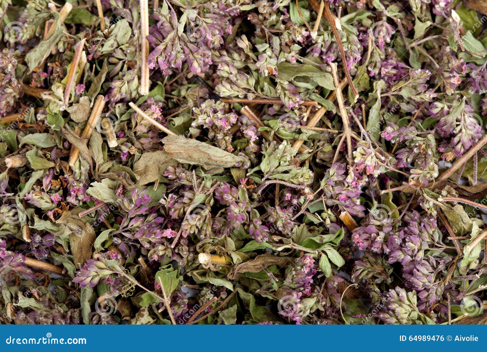 Dried marjoram stock photo. Image of green, leaf, herbal 64989476
