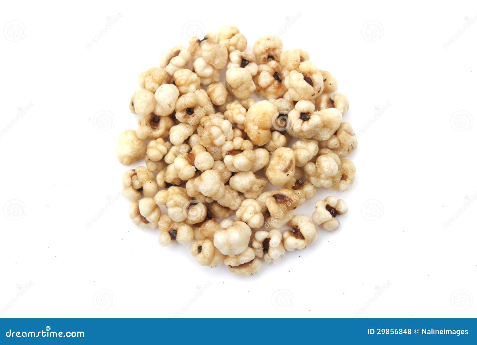 Dried millet stock photo. Image of food, ingredient, seeds 29856848