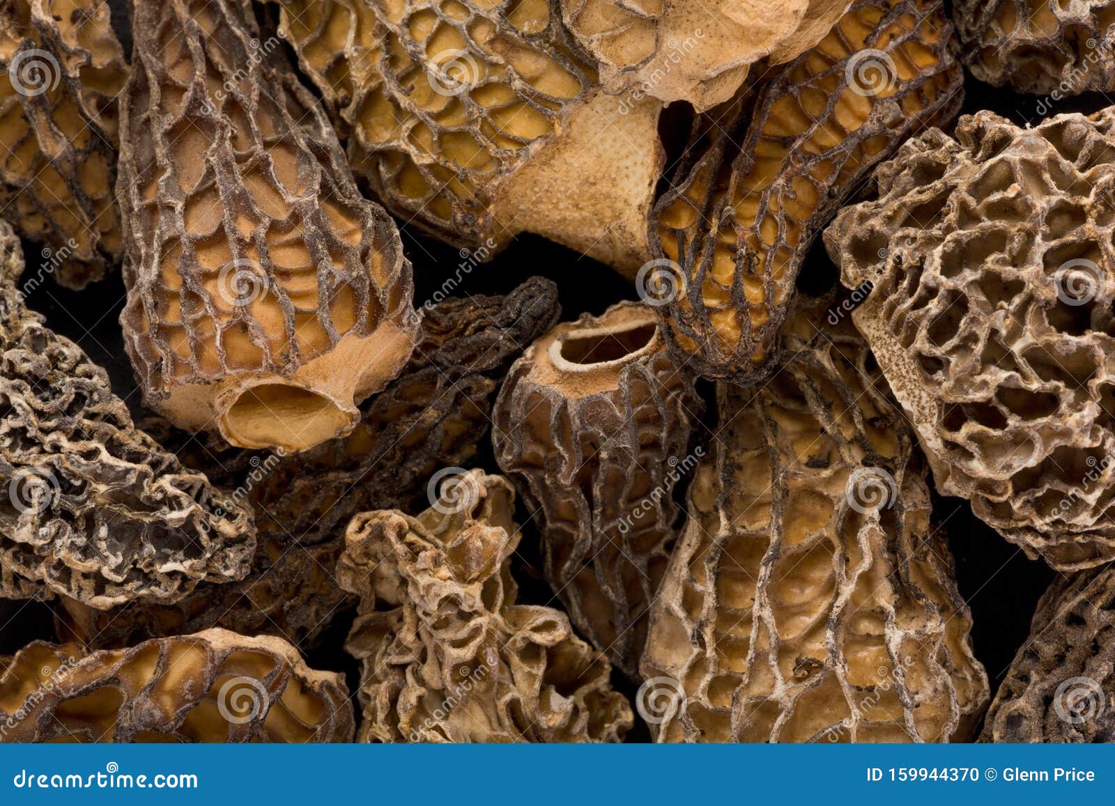 Dried Morel Mushrooms stock photo. Image of mushrooms 159944370