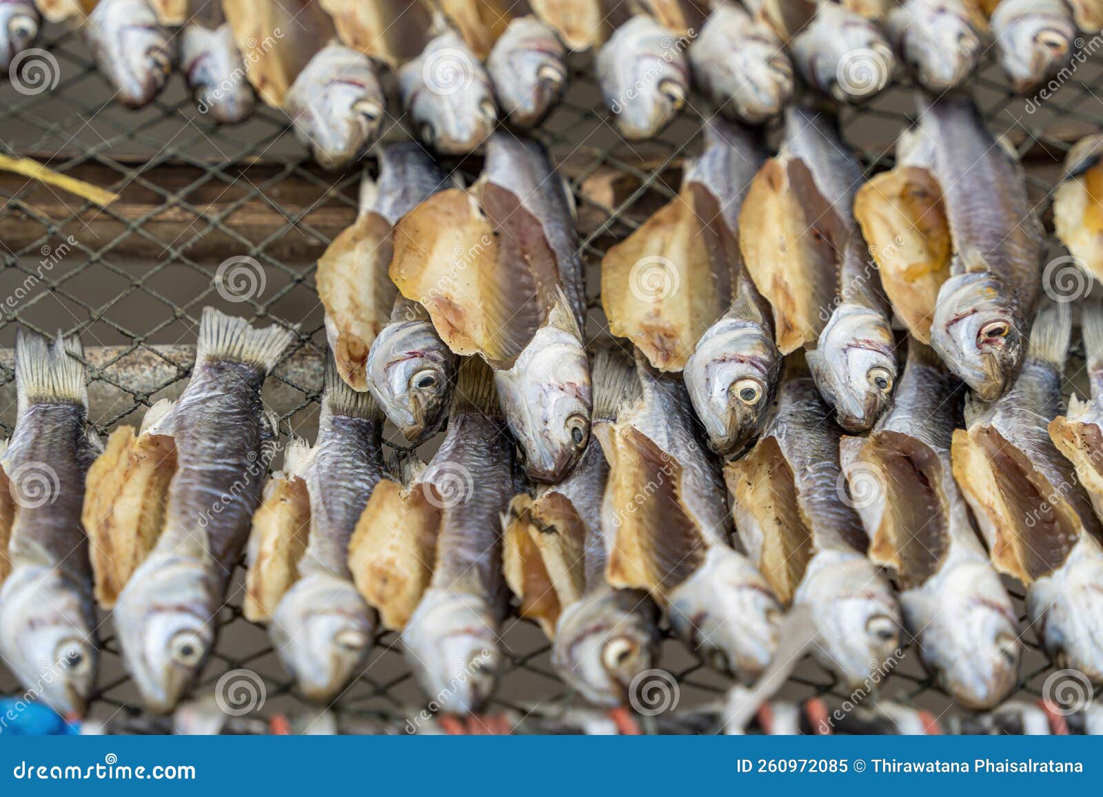 Dried Mullet. Dried and Salty Mullet Fishes Group with Sun Lighting Stock  Image - Image of fishing, clean: 260972085