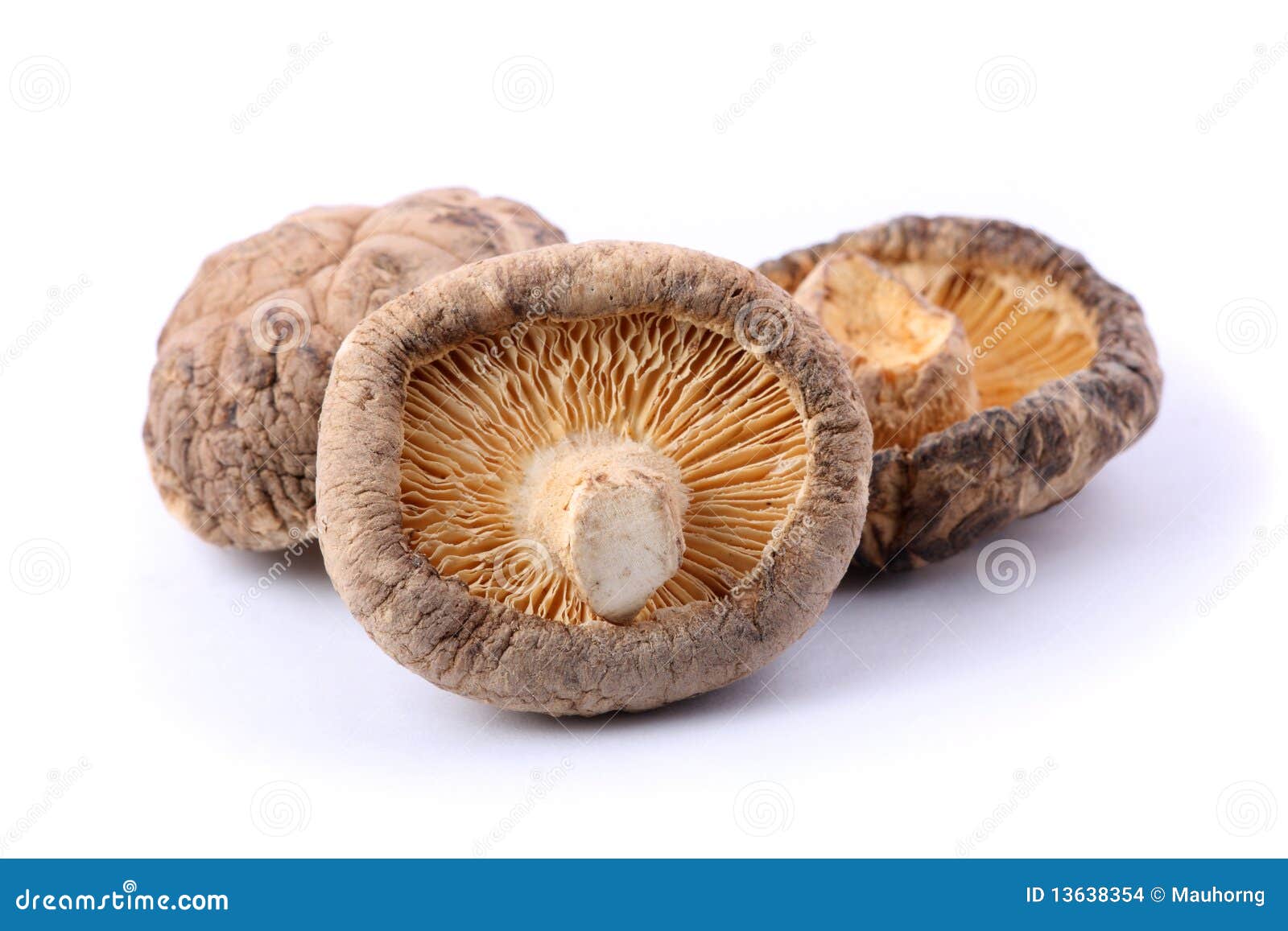 Dried Mushroom stock photo. Image of dressing, closeup 13638354