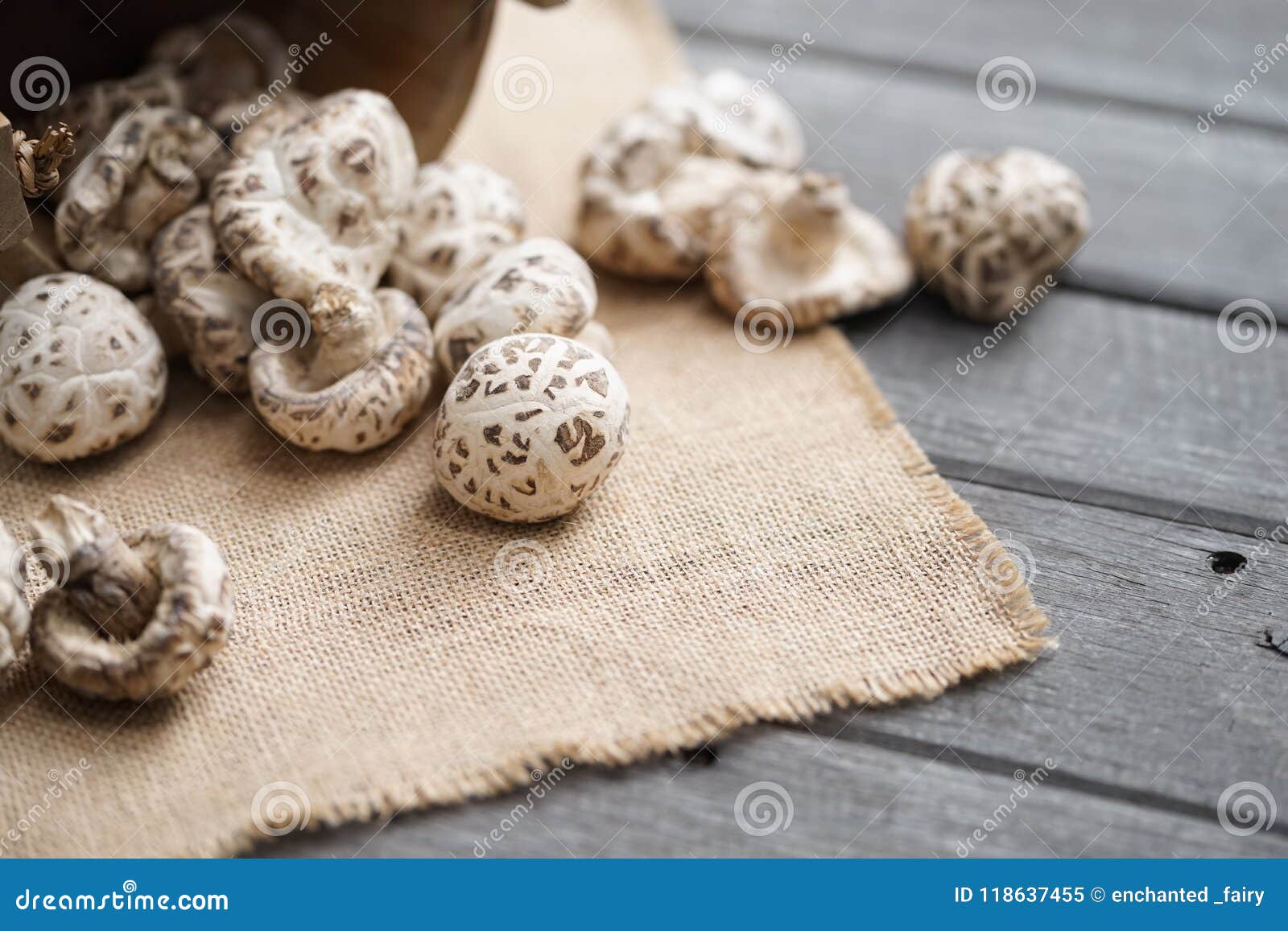 Dried Mushroom. Soft Focus of Shiitake Mushroom Stock Image Image of