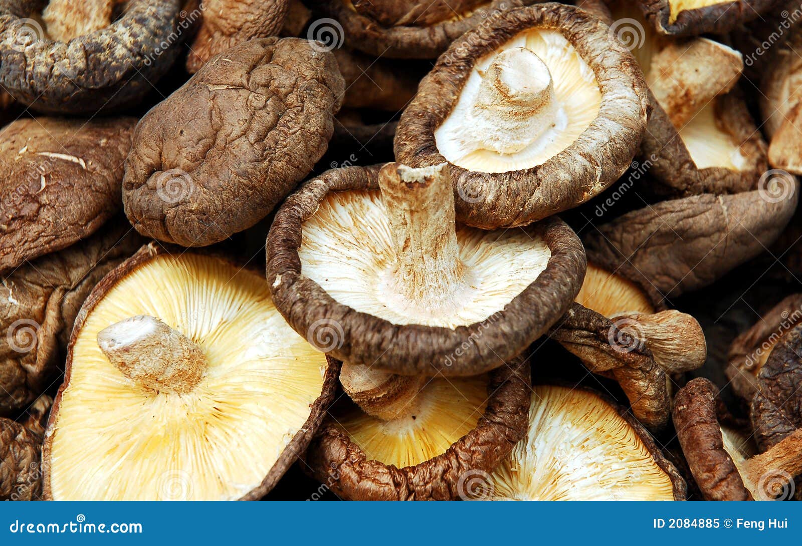 Dried mushrooms stock image. Image of herbal, medicine 2084885