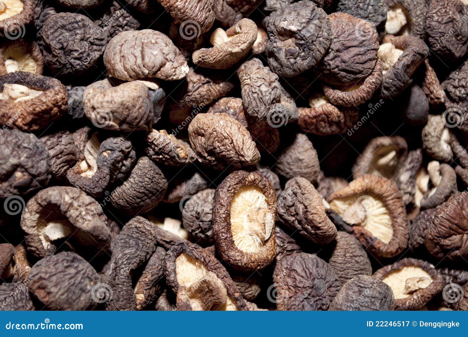 Dried Mushrooms Stock Photo 7206306