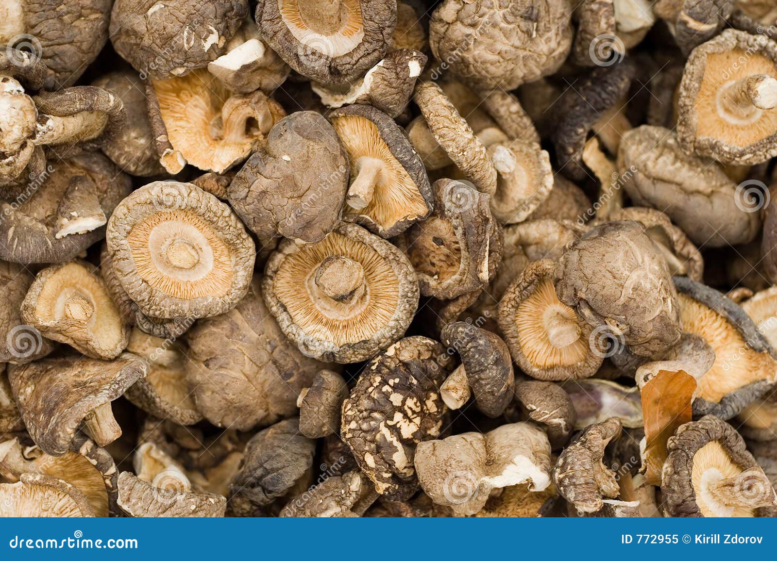 Dried Mushrooms In Aglass Jar On A Wooden Kitchen Board On A Background