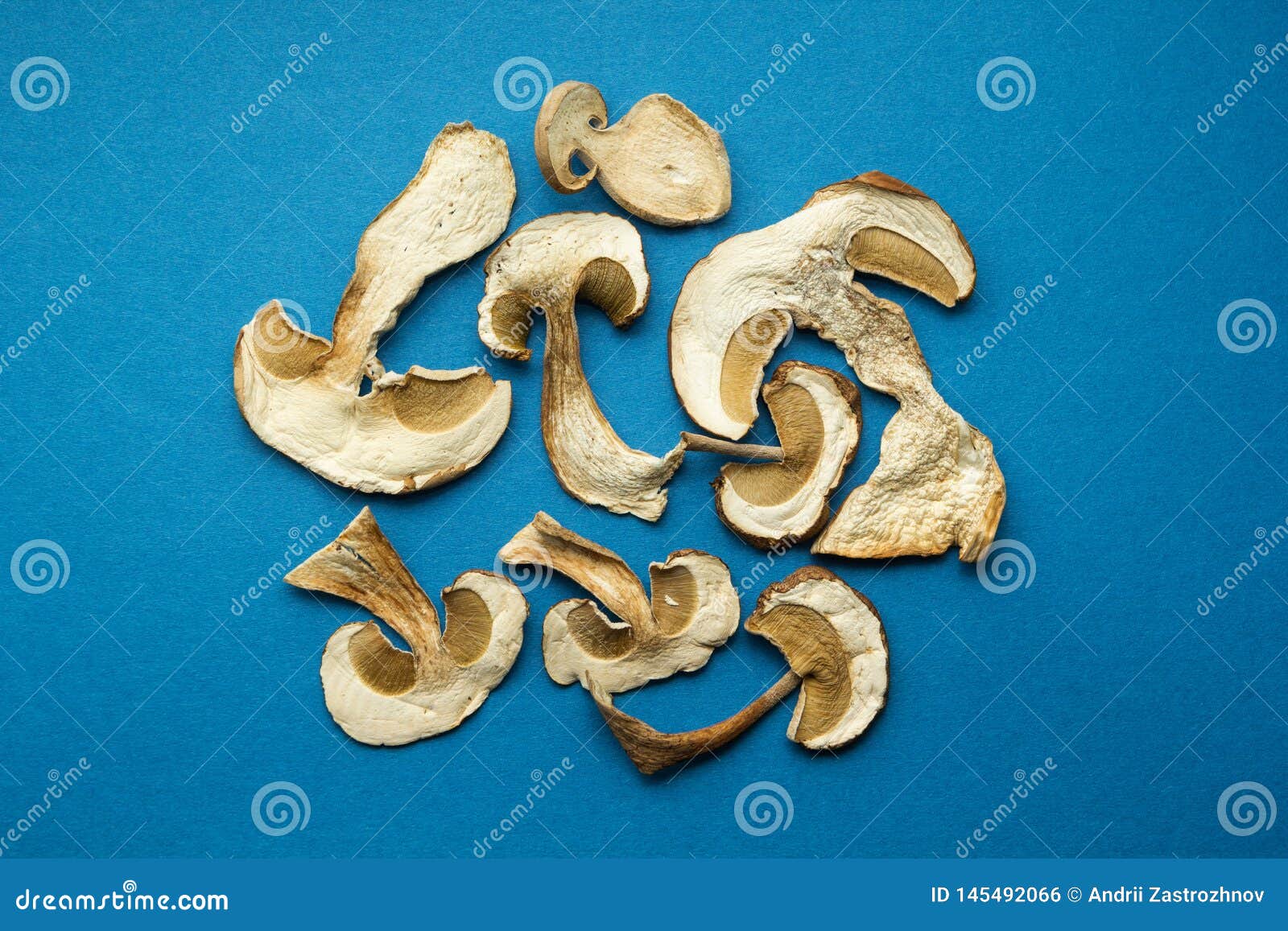 Dried Mushrooms on a Blue Background, Alternative Medicine Stock Photo