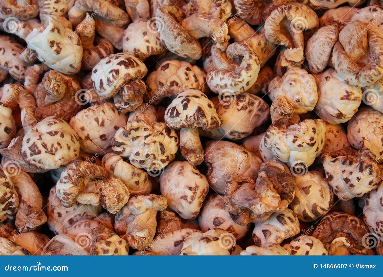 Dried Mushrooms, Chinese Market Stock Image Image of chinese, food