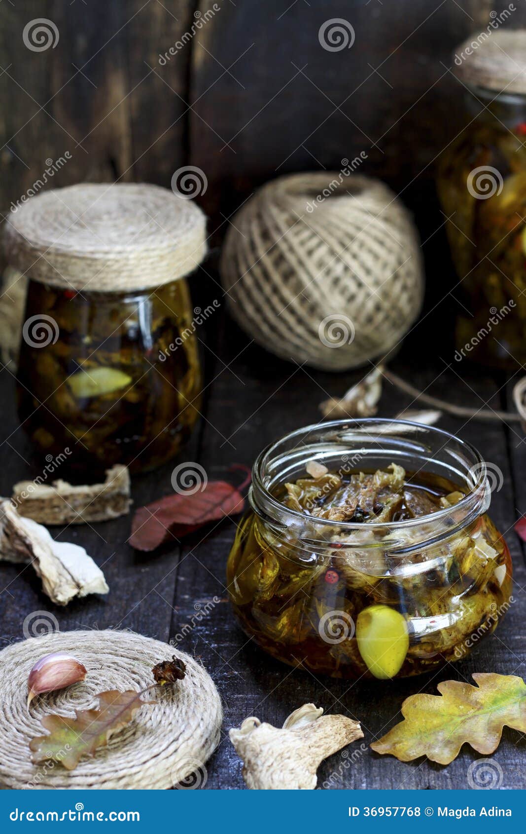 Dried mushrooms stock photo. Image of dried, rope, food 36957768