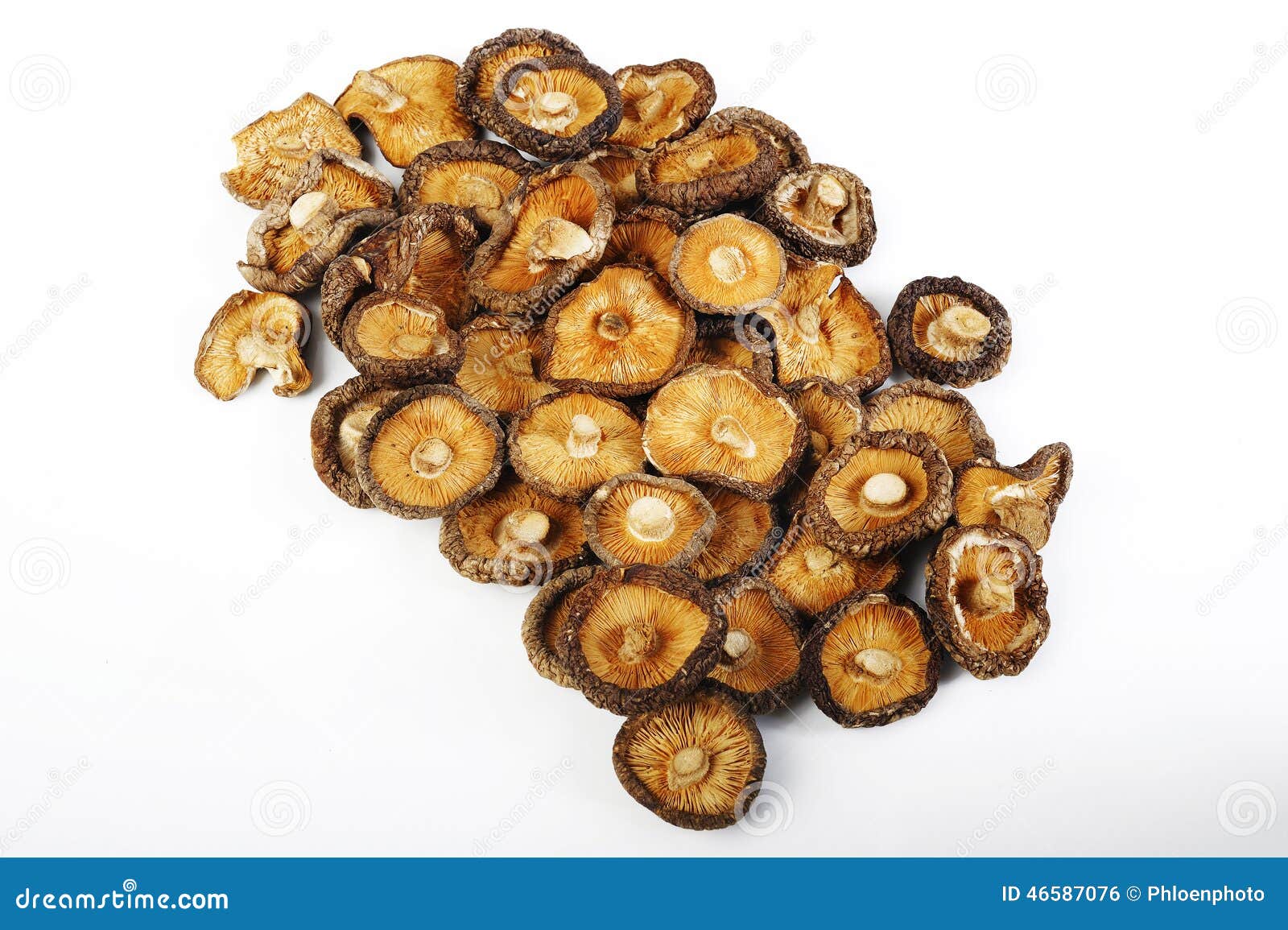 Dried mushrooms on white stock photo. Image of taste 46587076