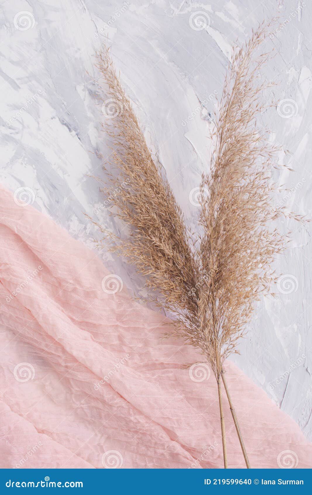 various natural dried plants closeup on pink 18793685 Stock Photo at  Vecteezy