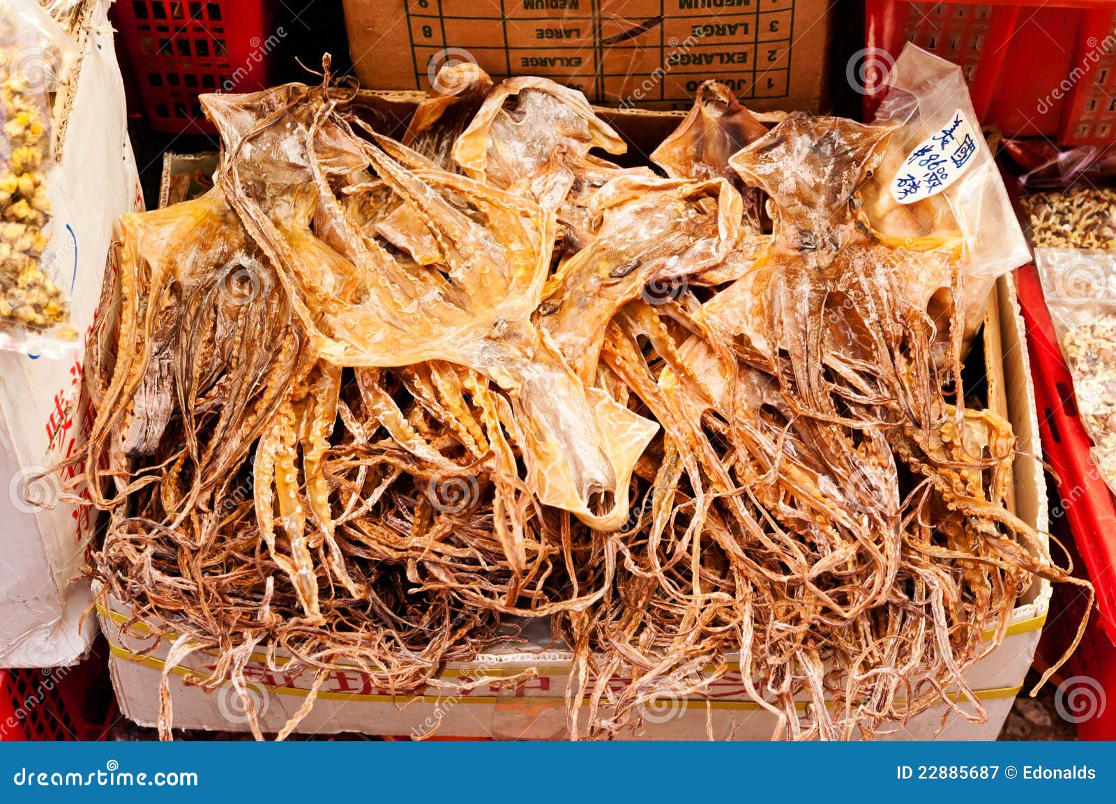 Dried Octopus stock image. Image of industry, display 22885687