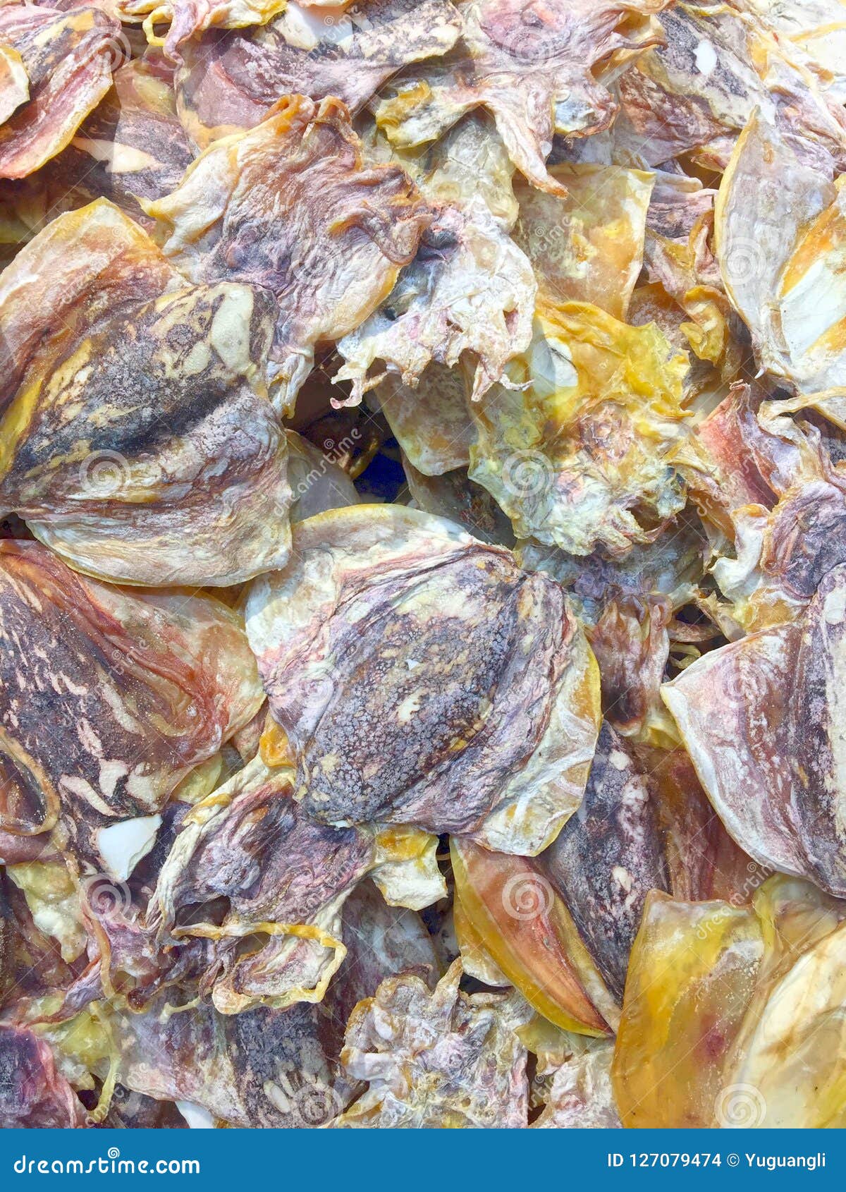 Dried octopus stock photo. Image of outdoor, east, salty 127079474