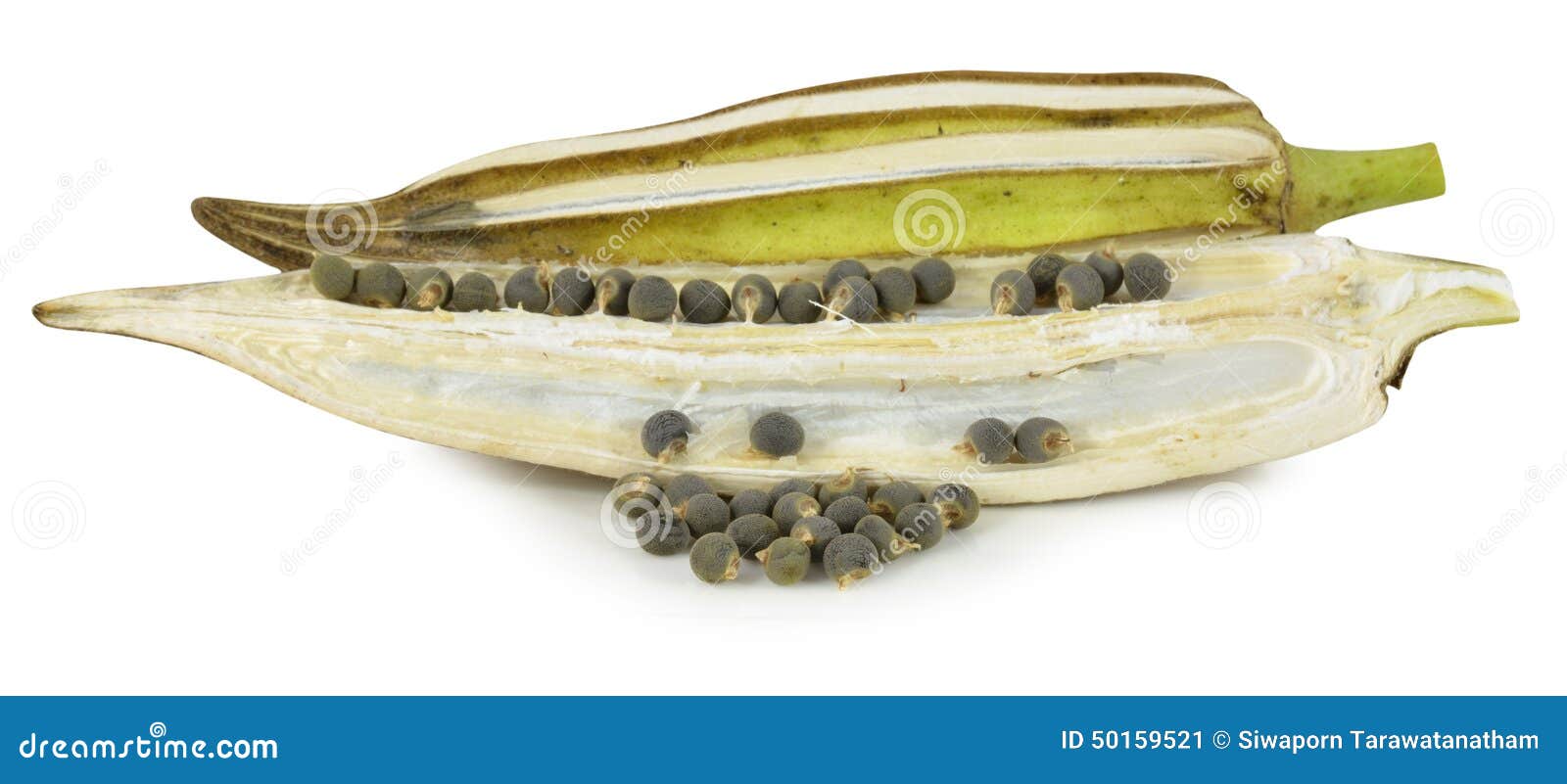 Dried Okra Abelmoschus Esculentus Seed With Oil And Fresh Raw Royalty