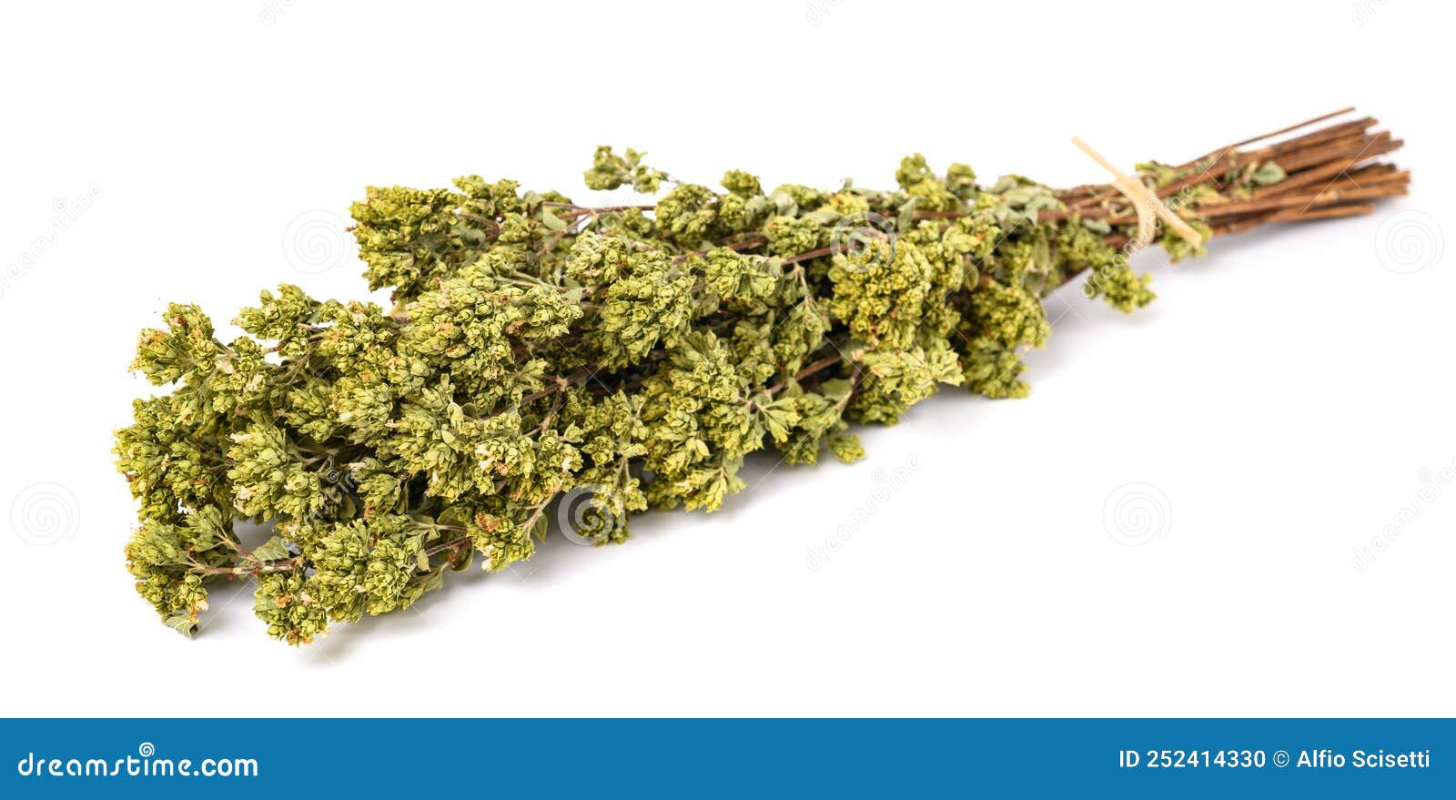 Dried oregano bouquet stock photo. Image of herb, majorana 252414330