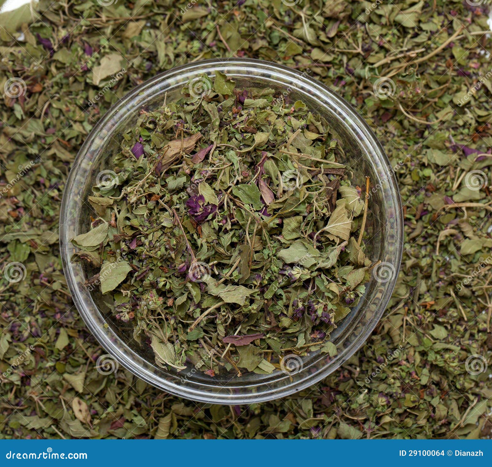 Dried oregano leaves stock photo. Image of kitchen, fresh 29100064