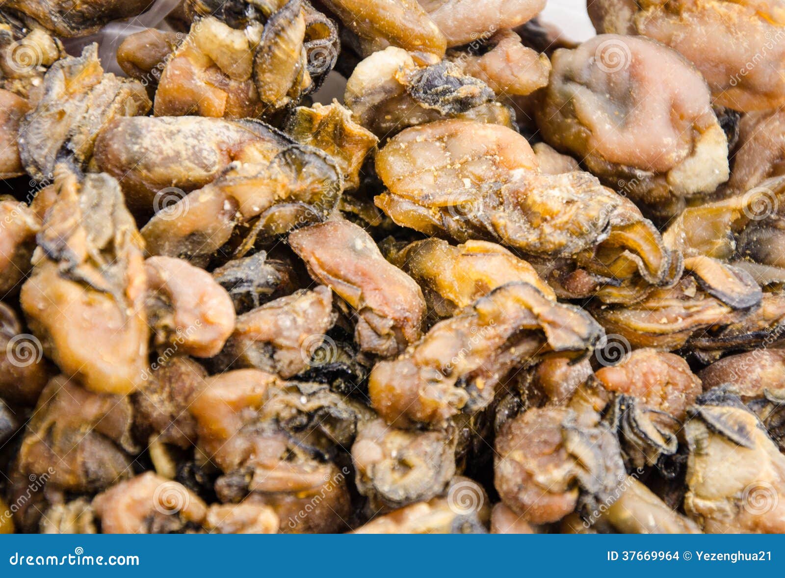 Dried oyster stock photo. Image of shellfish, foods, oyster 37669964
