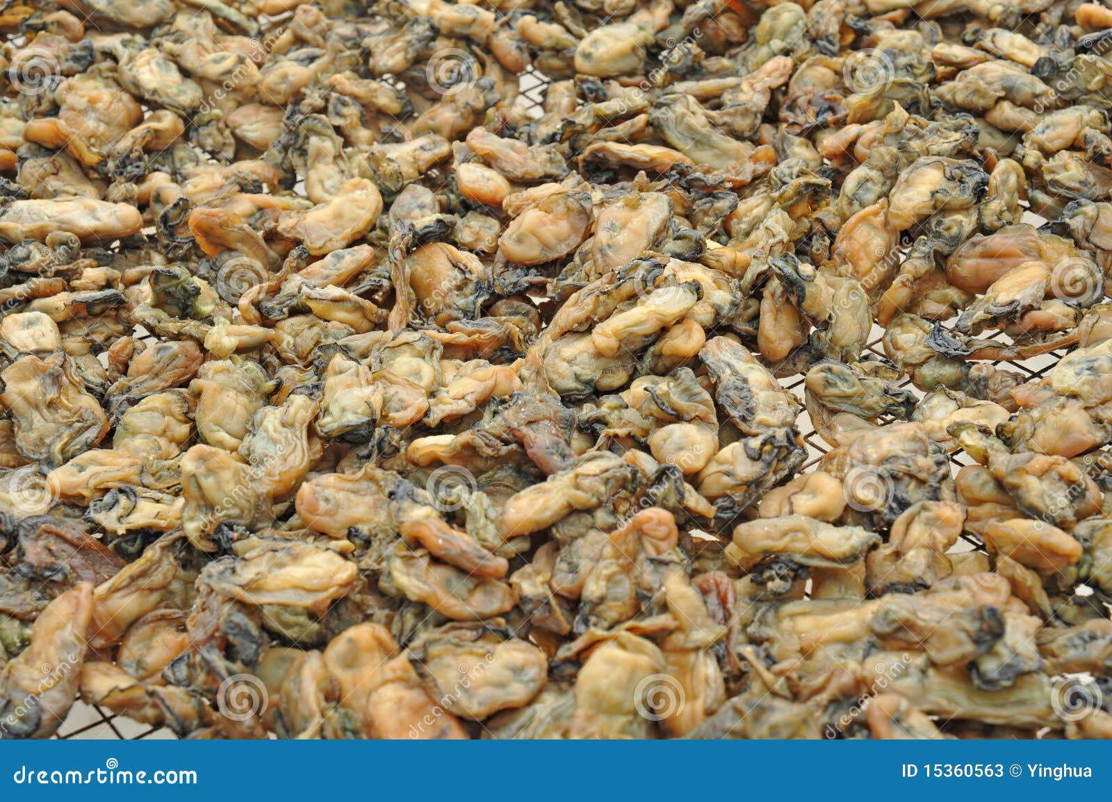Dried oysters stock image. Image of piling, oysters, marine 15360563